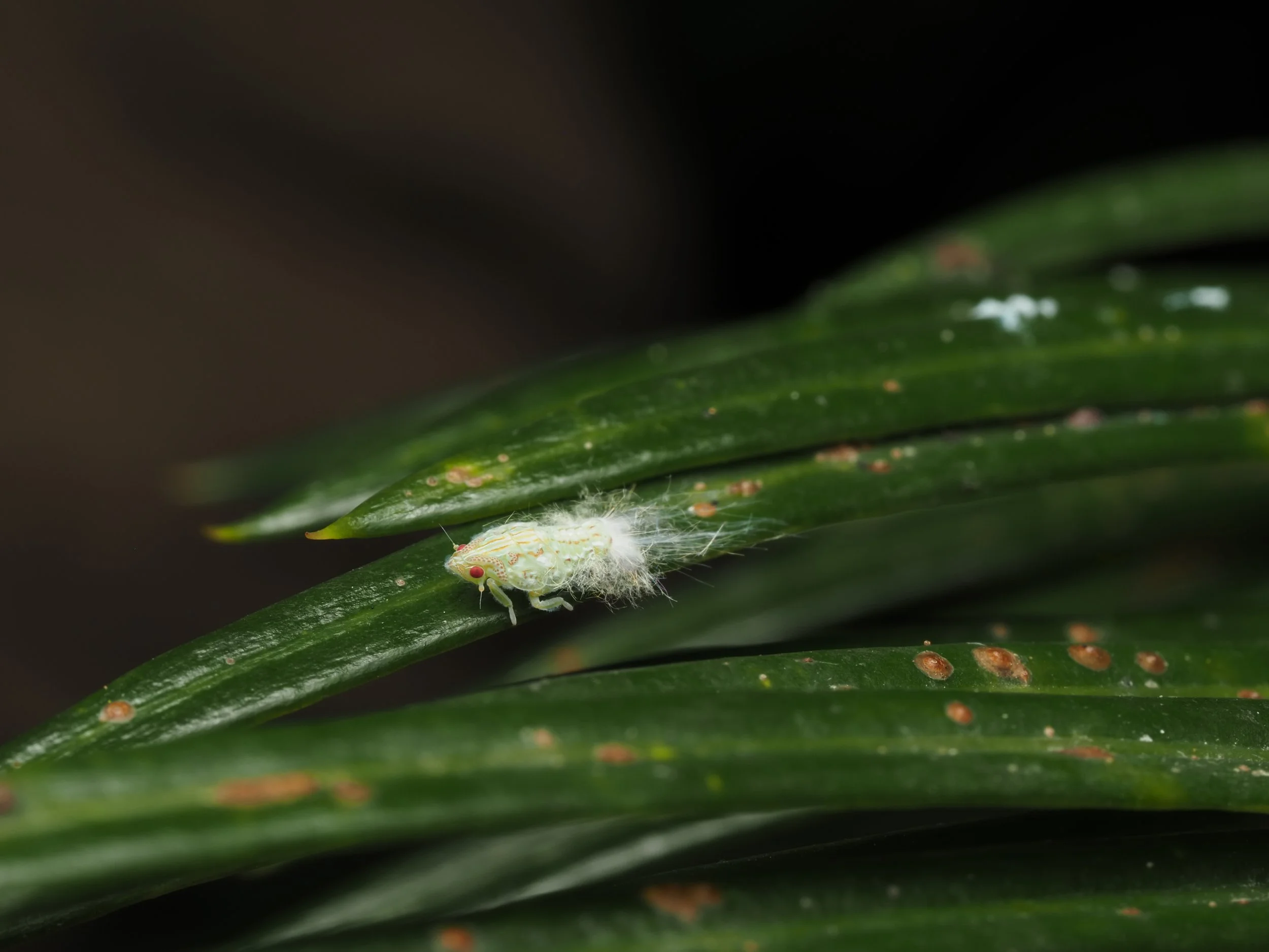 PA207889.jpg