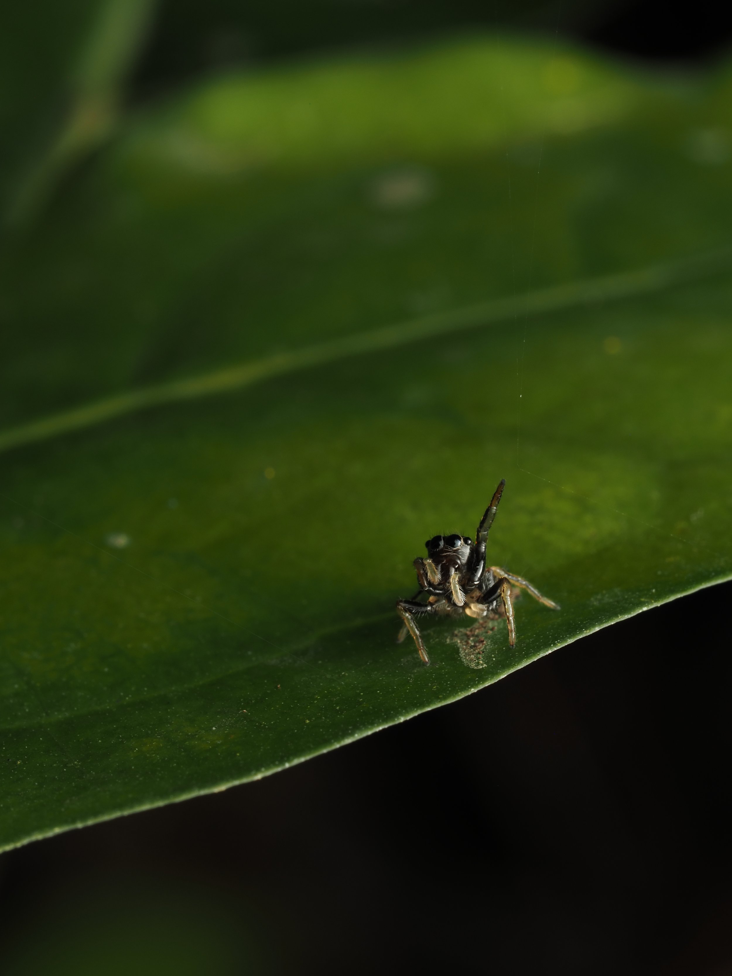 PA259109.jpg