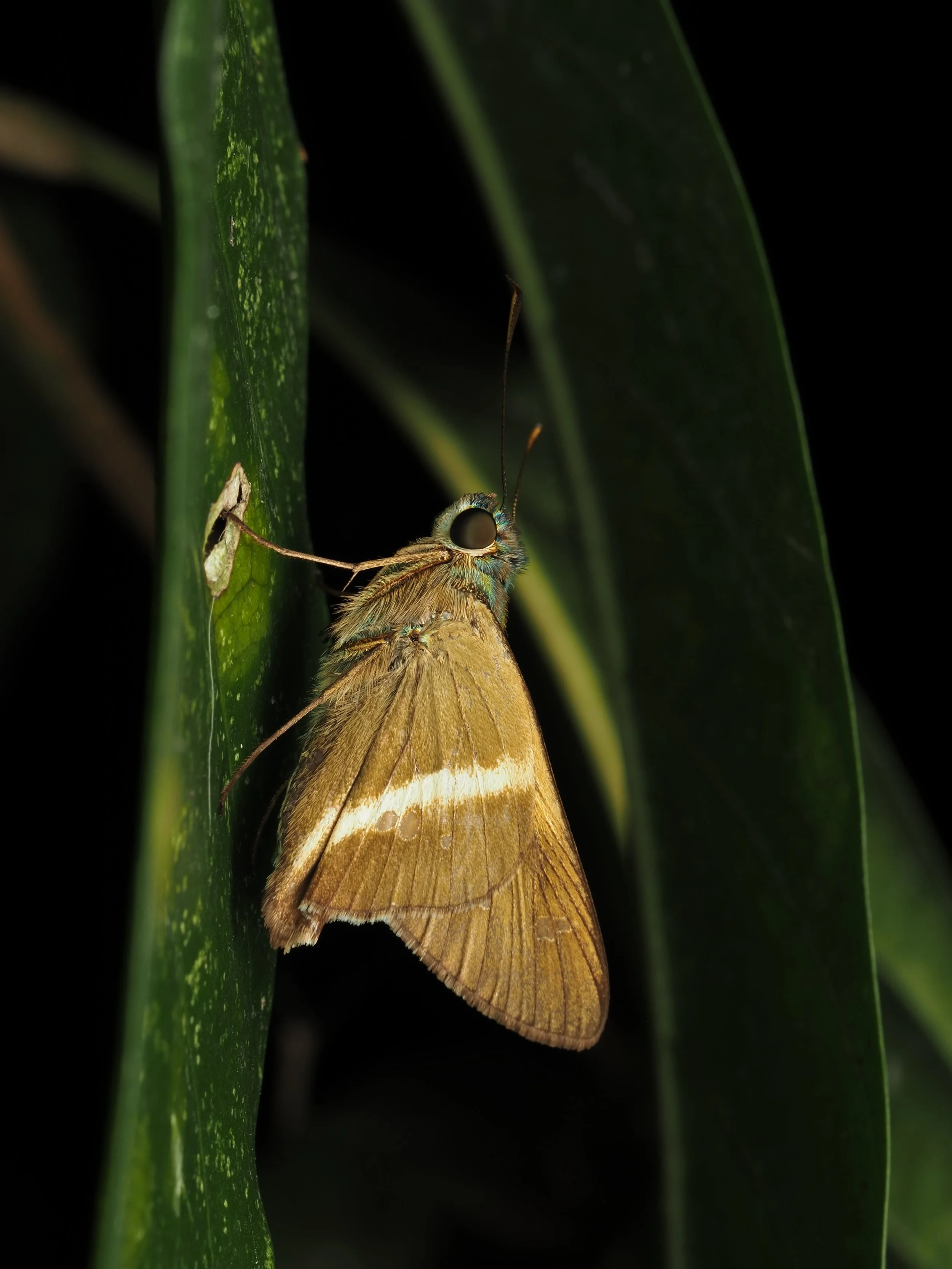 PA207872.jpg