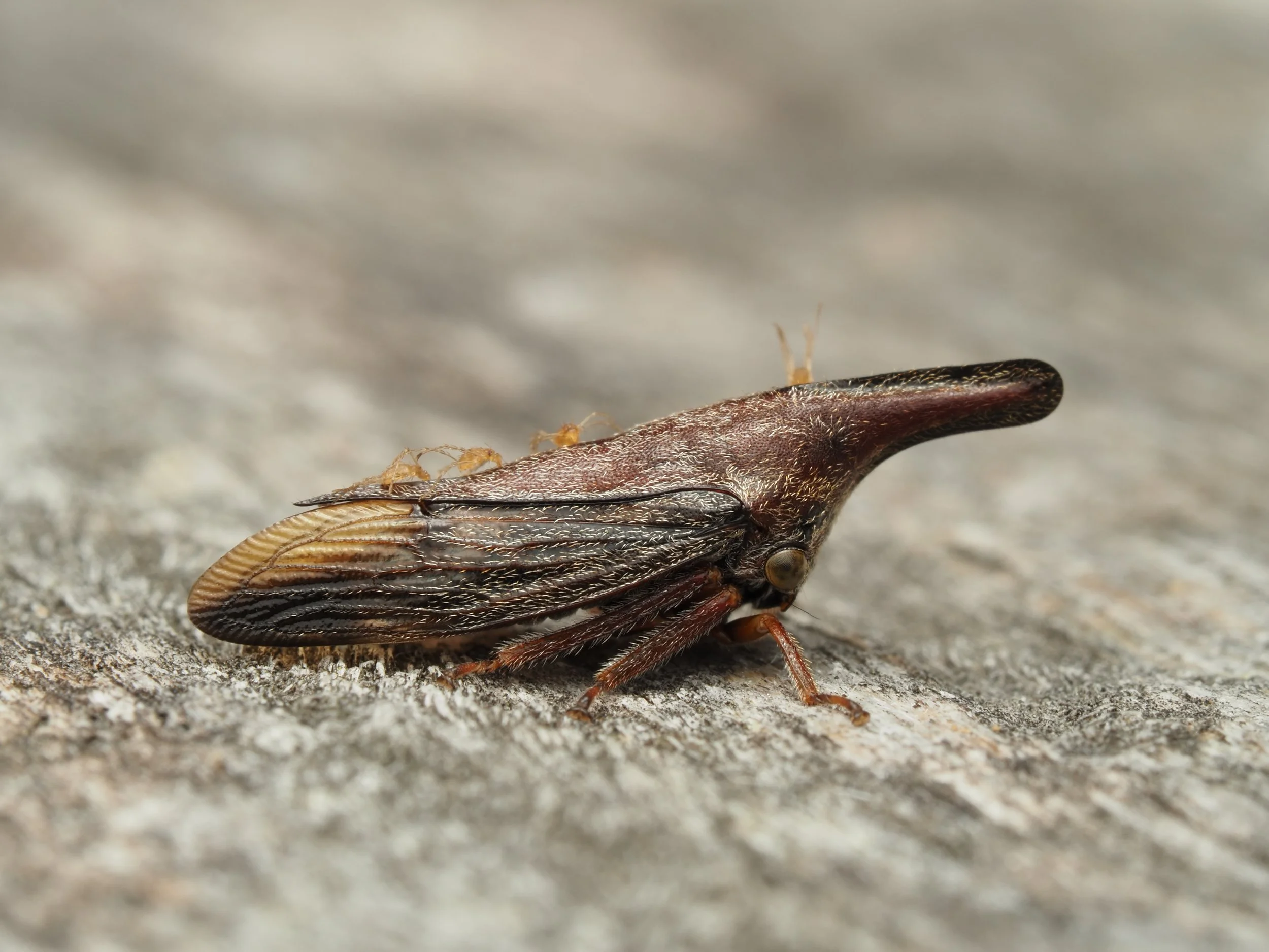 PA228606.jpg