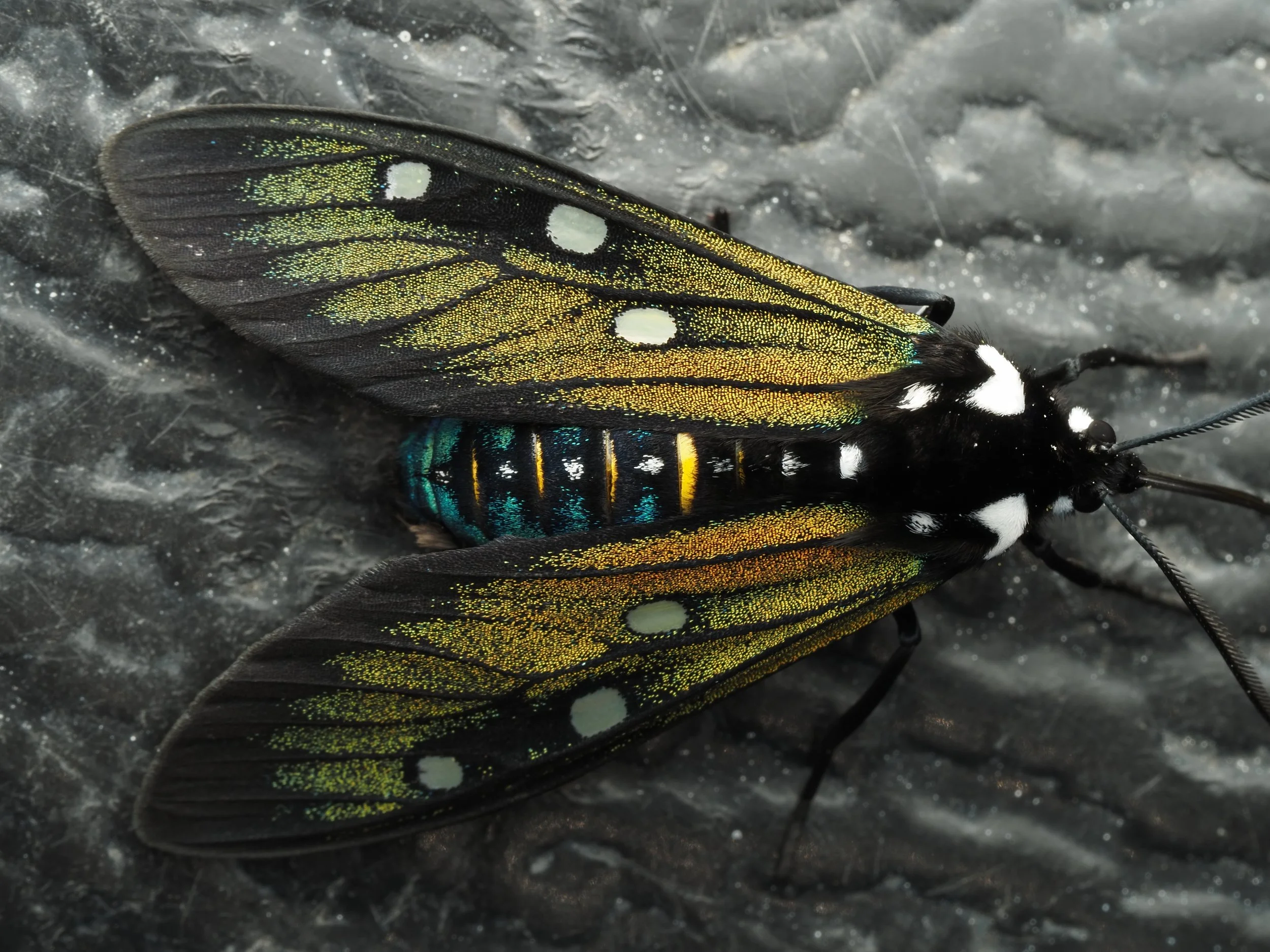 PA218258.jpg