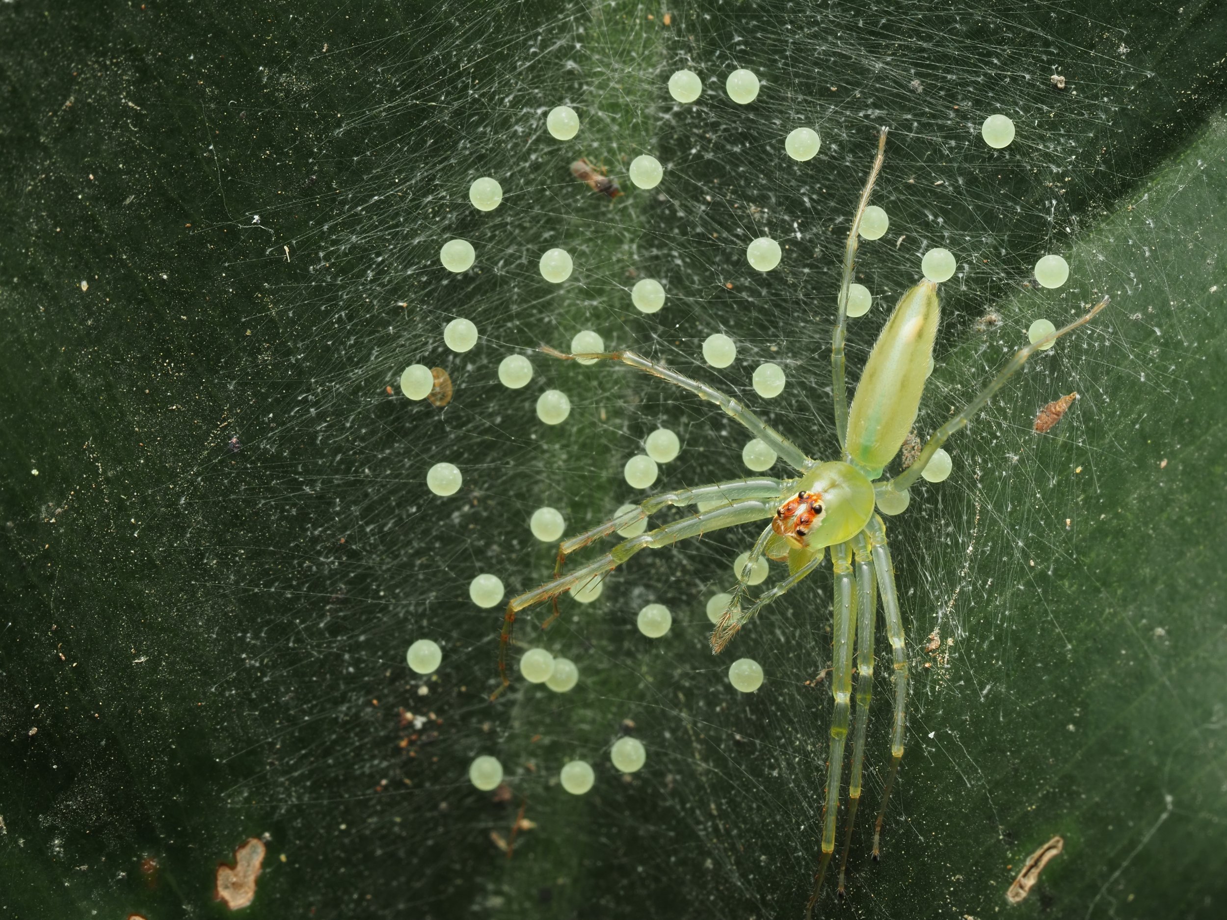 PA218428.jpg