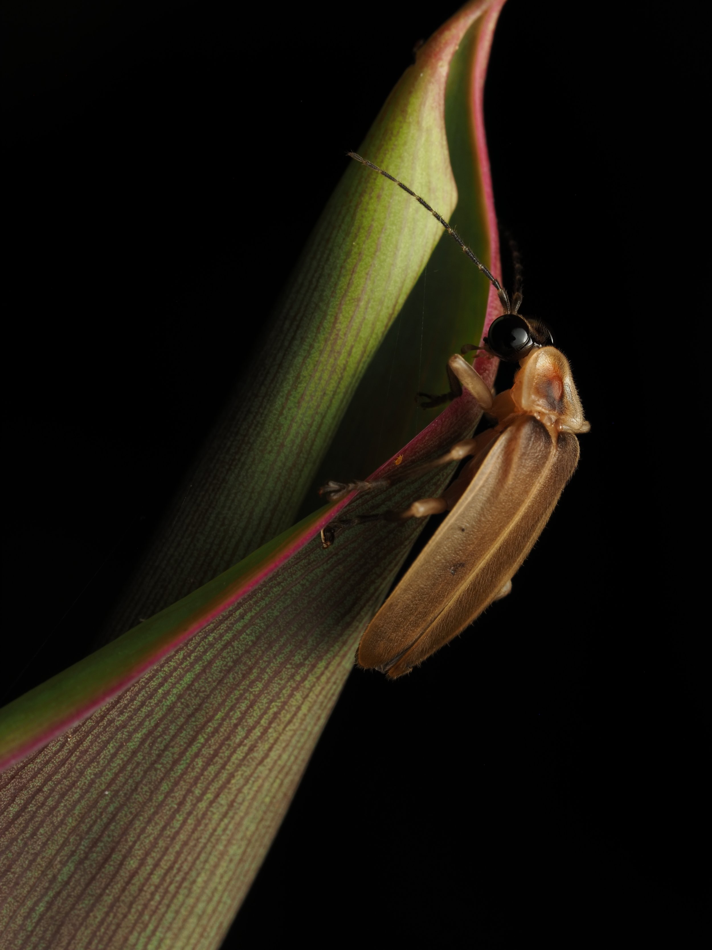 PA207988.jpg