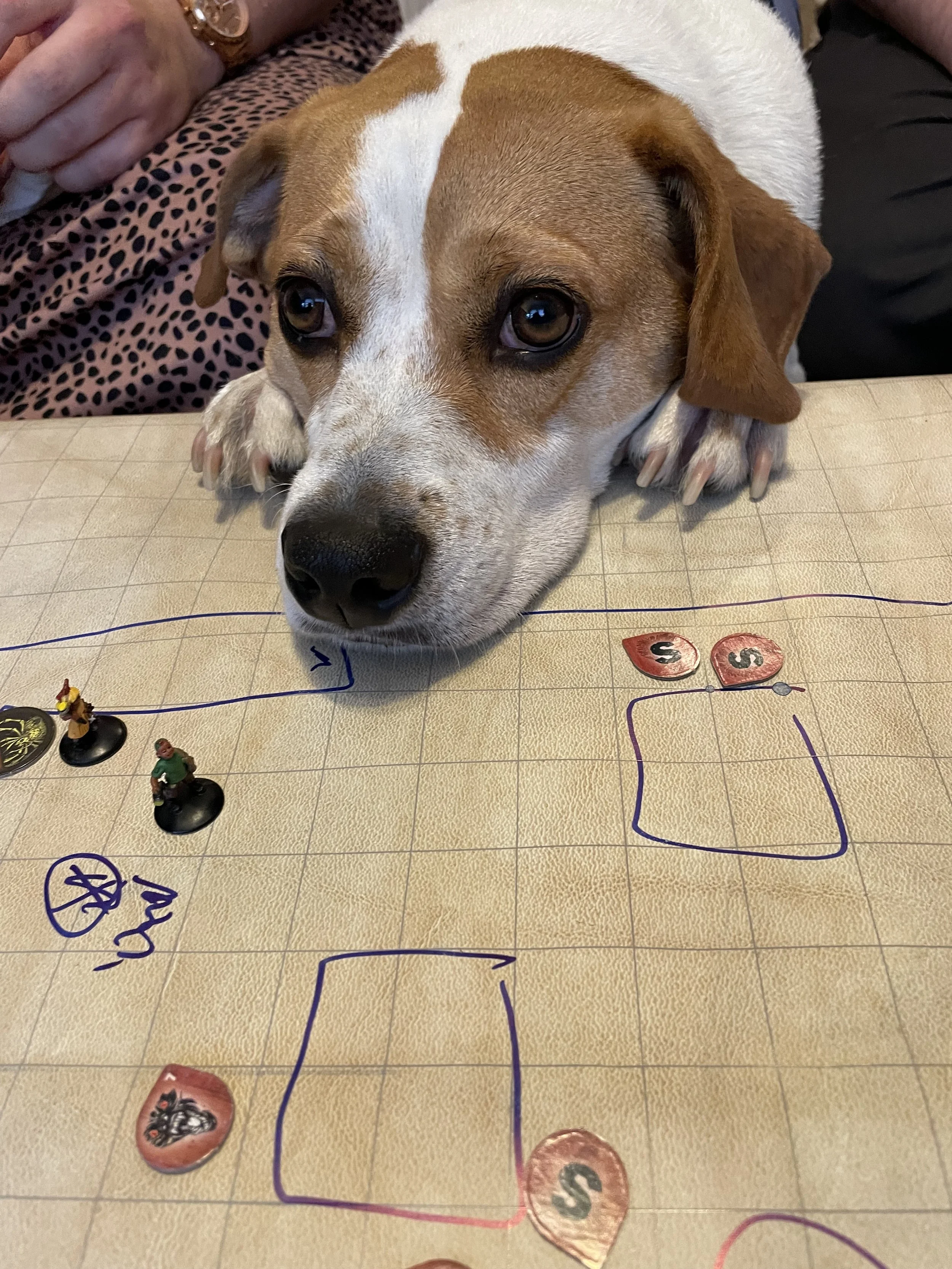 Max the dog resting his chin on a TTRPG map covered with miniatures, and game pieces. He looks sad, maybe he rolled a natural one.