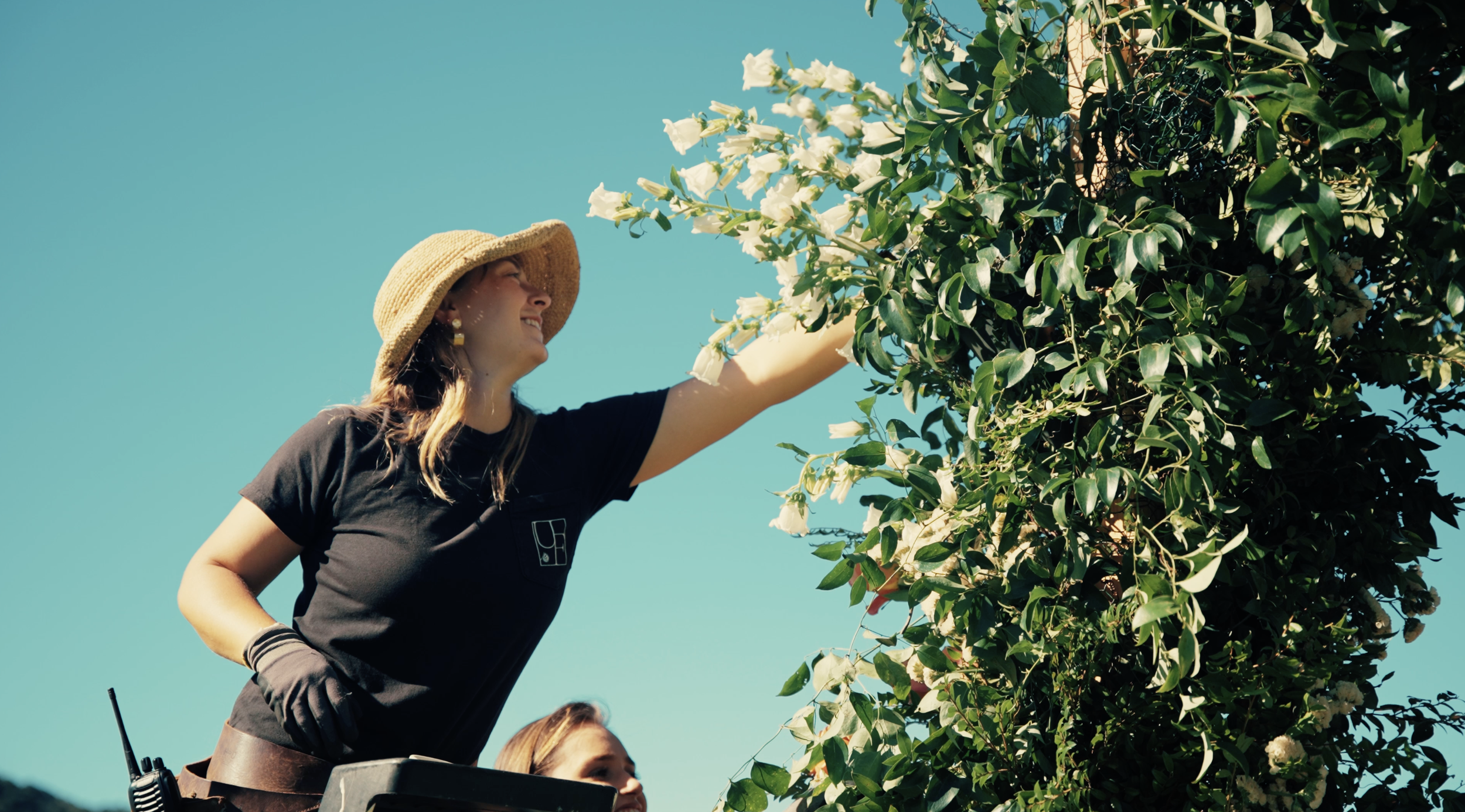 Screenshot 2026-01-12 at 3.12.46 PM.png