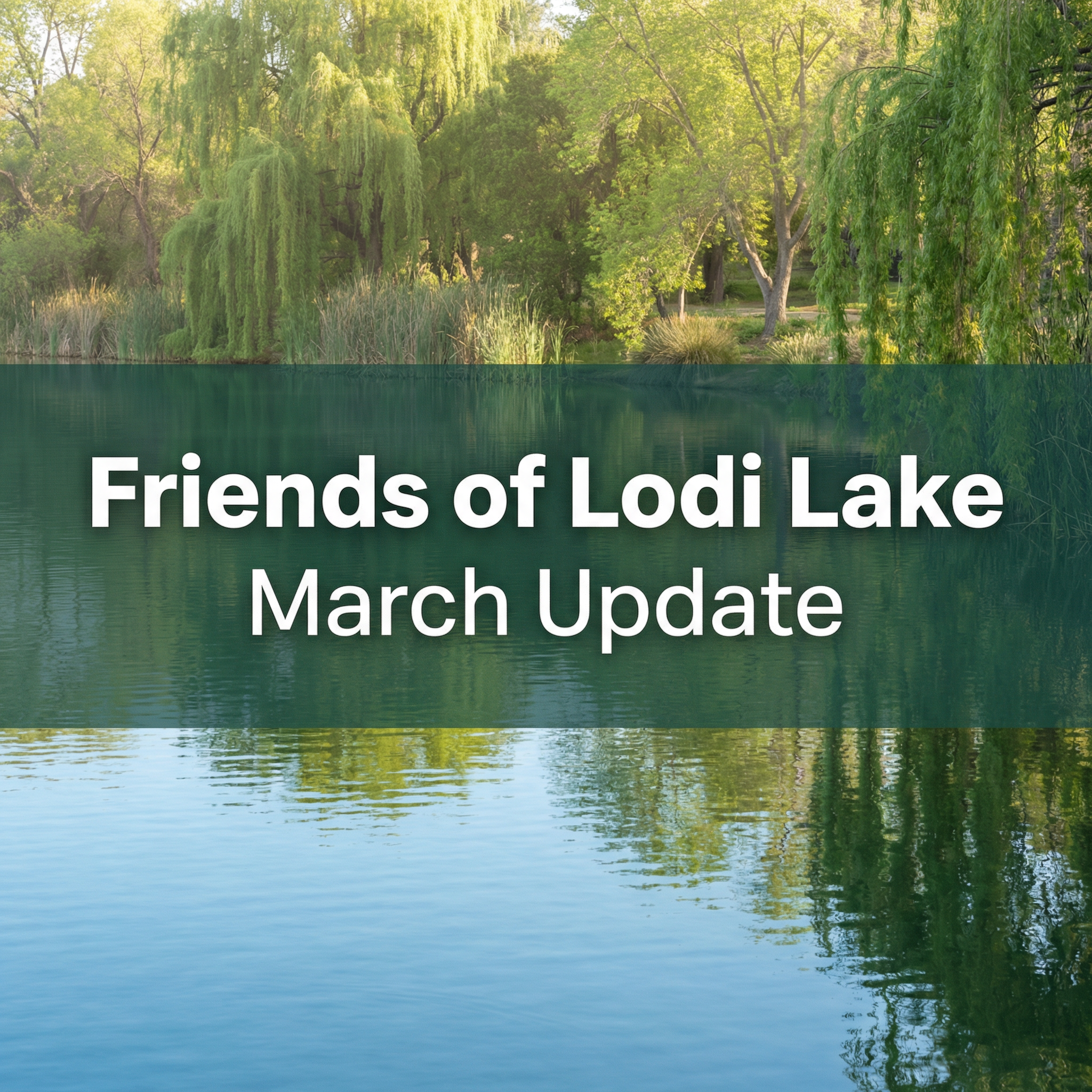 March 2026 Newsletter