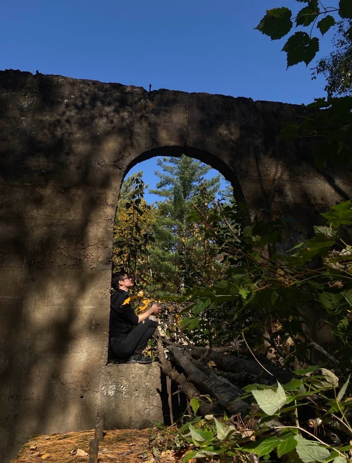 sen holiday is sitting in an empty arch of a building in the forest.
