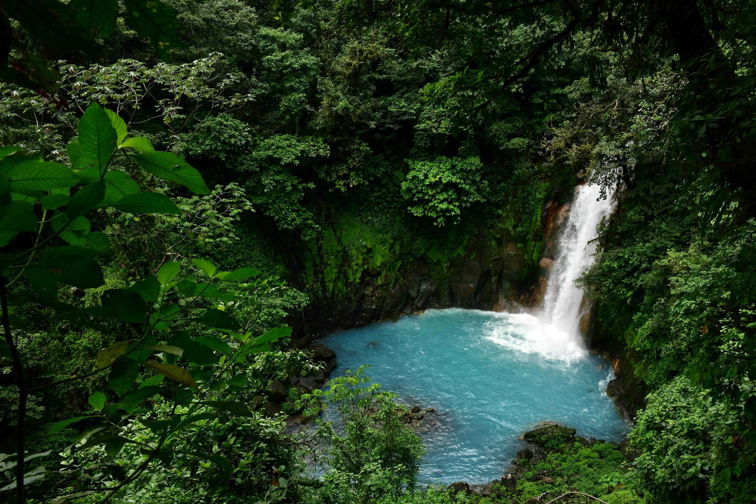 Lush green jungle with a waterfall cascading into a blue pool of water.