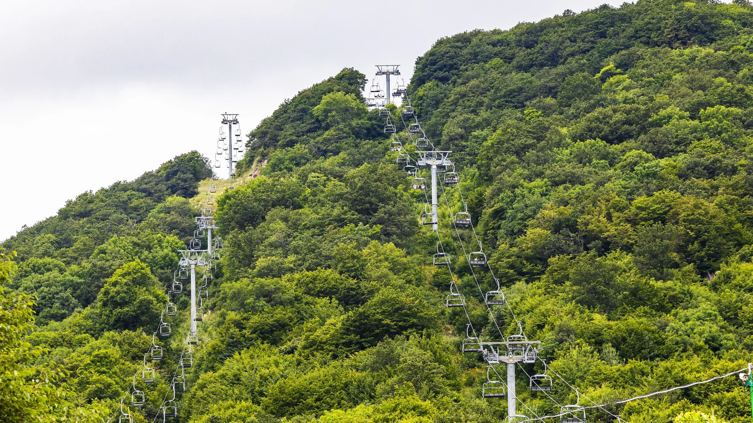 A chairlift with multiple empty chairs ascending a lush green mountainside covered in dense trees, under an overcast sky.
