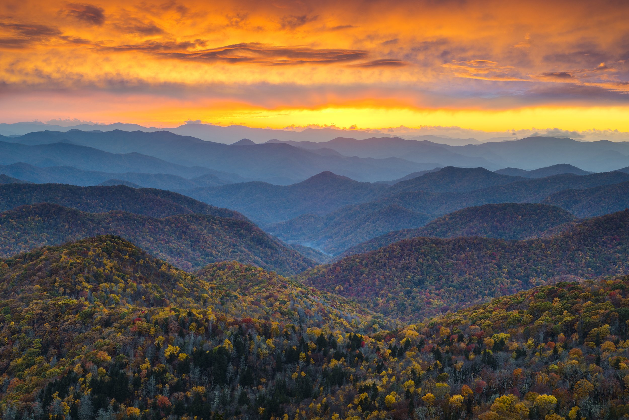 autumn_glory-Credit-ExploreAsheville.com_.jpg