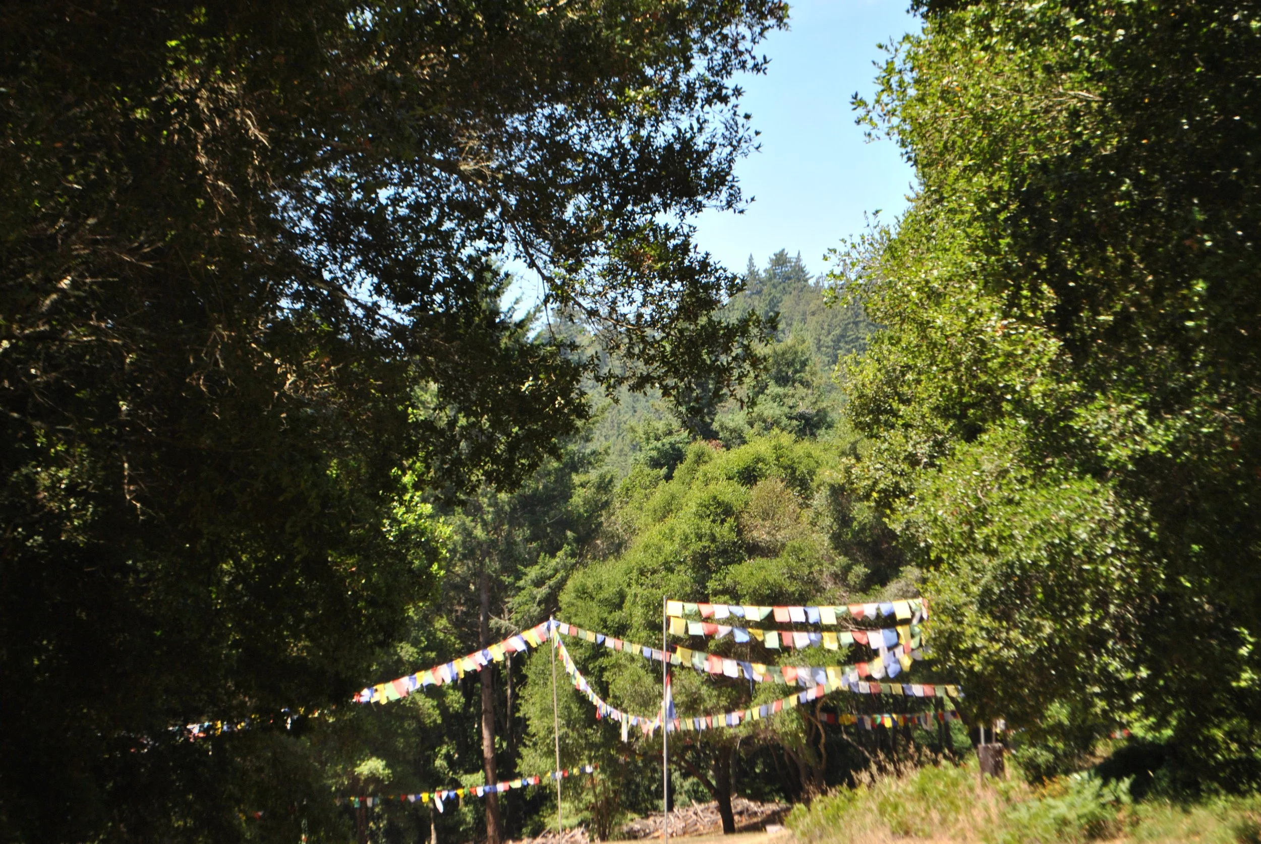 DSC_1677.jpg