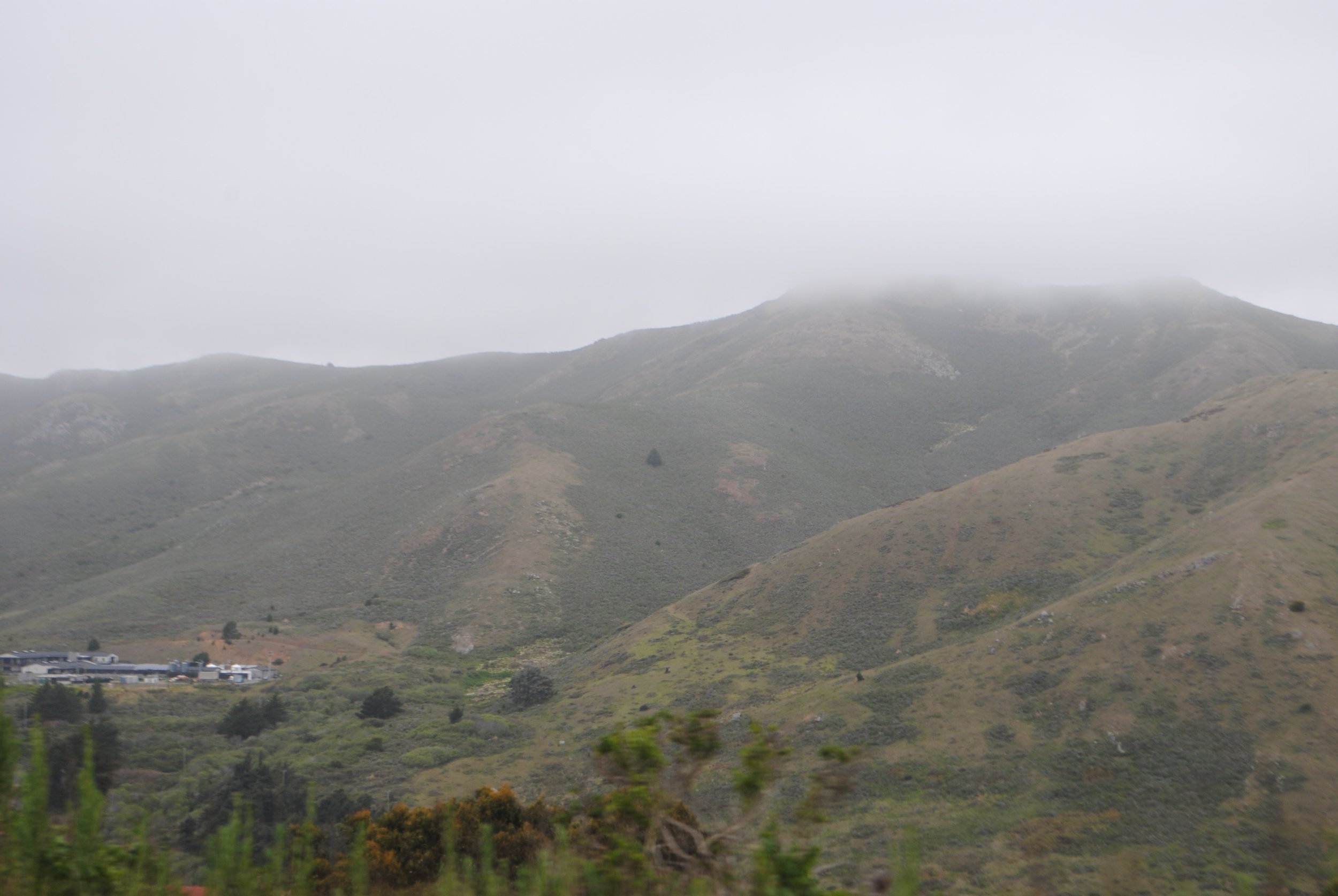 DSC_0009-2.jpg