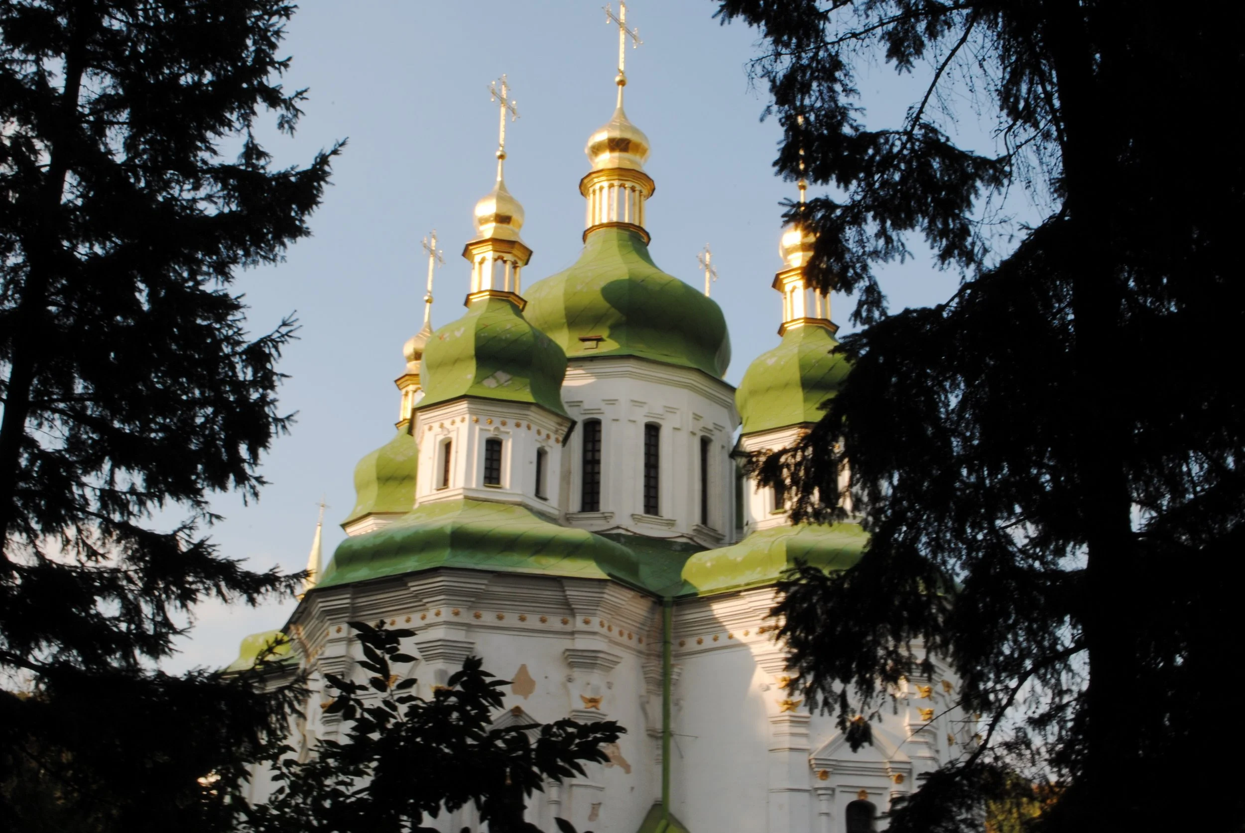 A church with golden domes seen through dark tree branches against a clear sky.