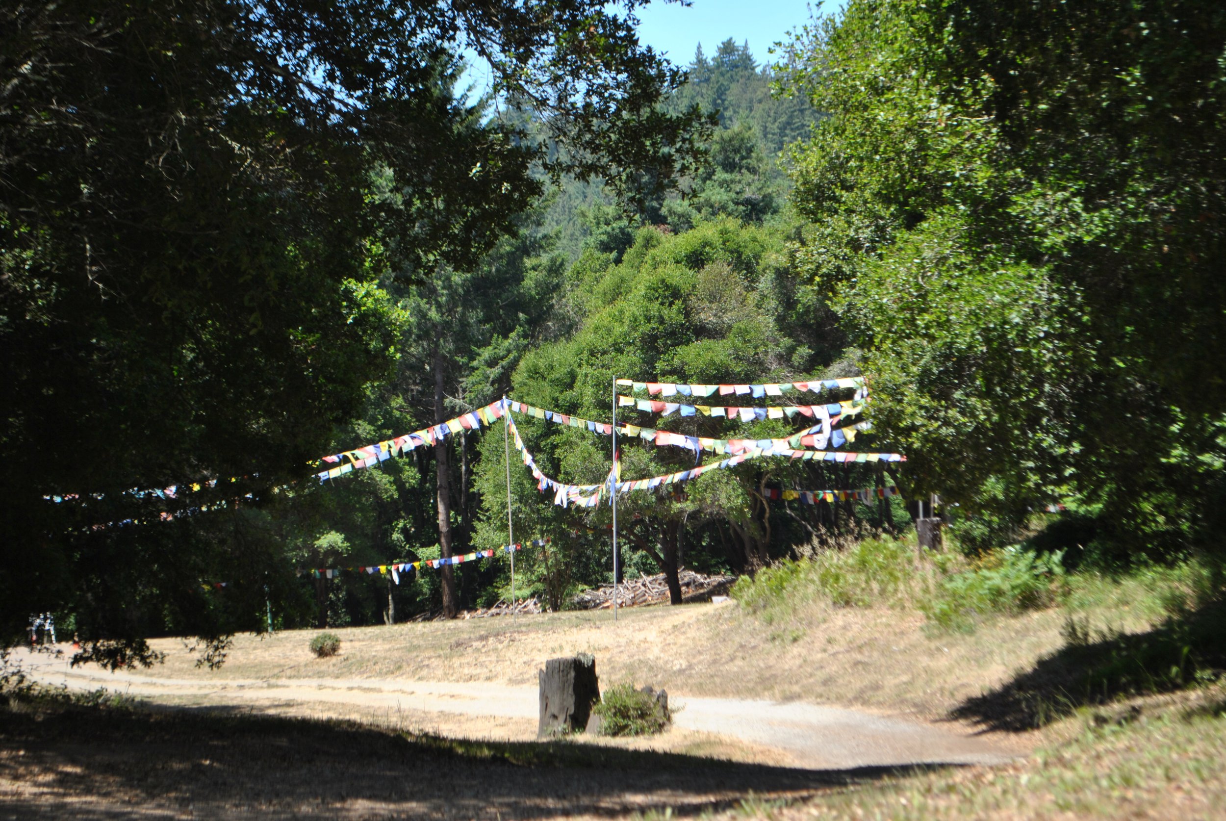 DSC_1676.jpg