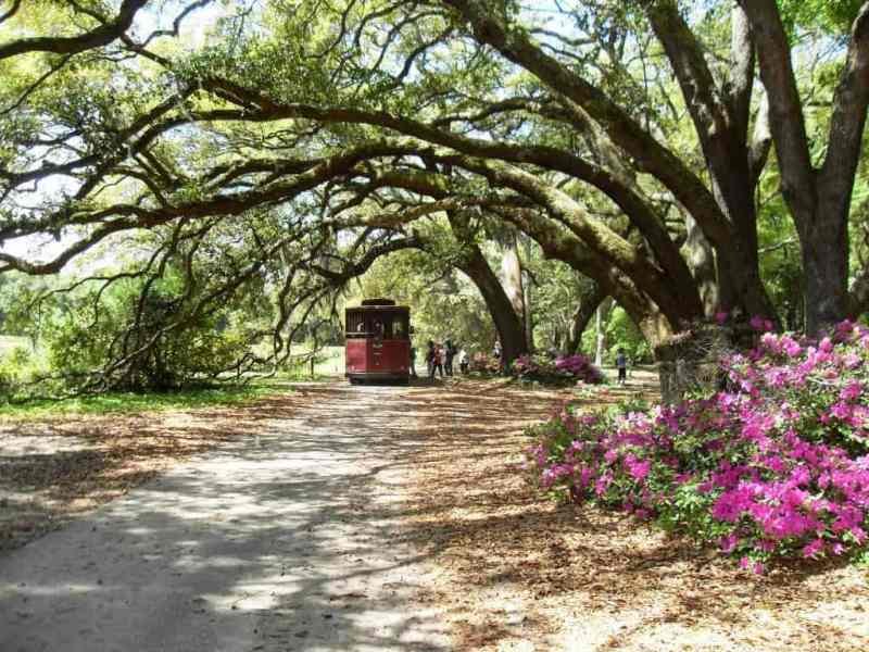 charleston-tea-garden-trolley2.jpg