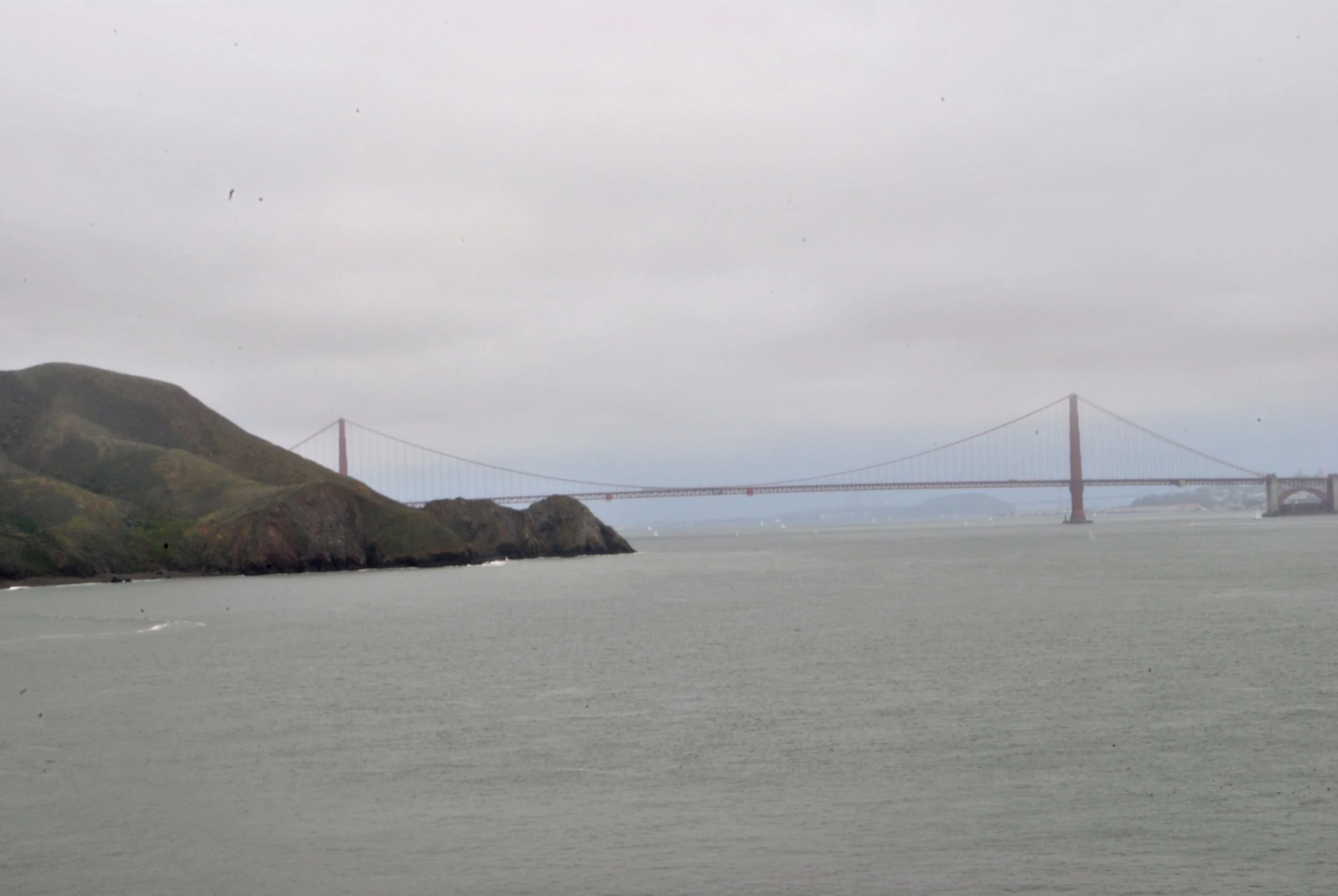 DSC_0058.jpg