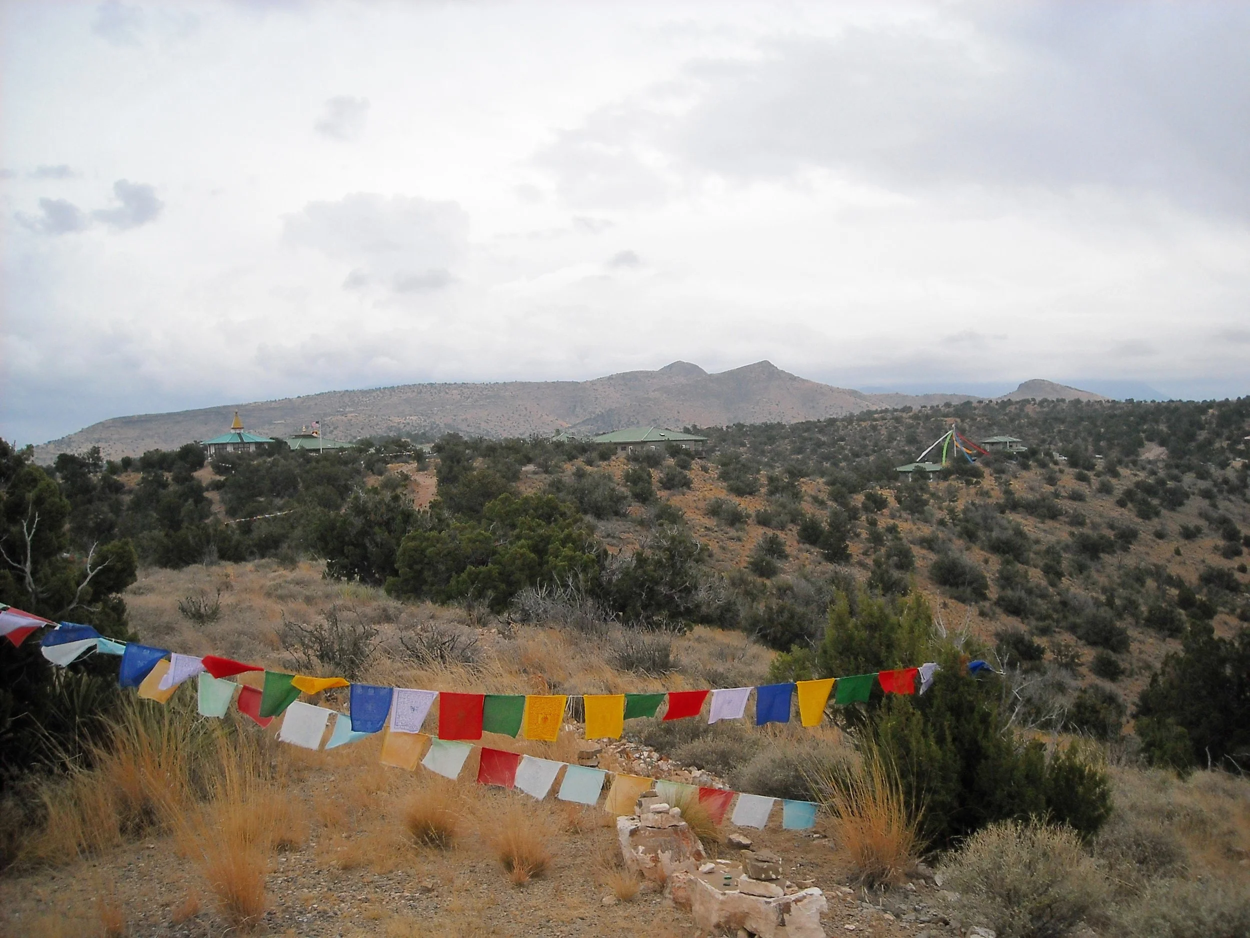 DSCN2872.JPG