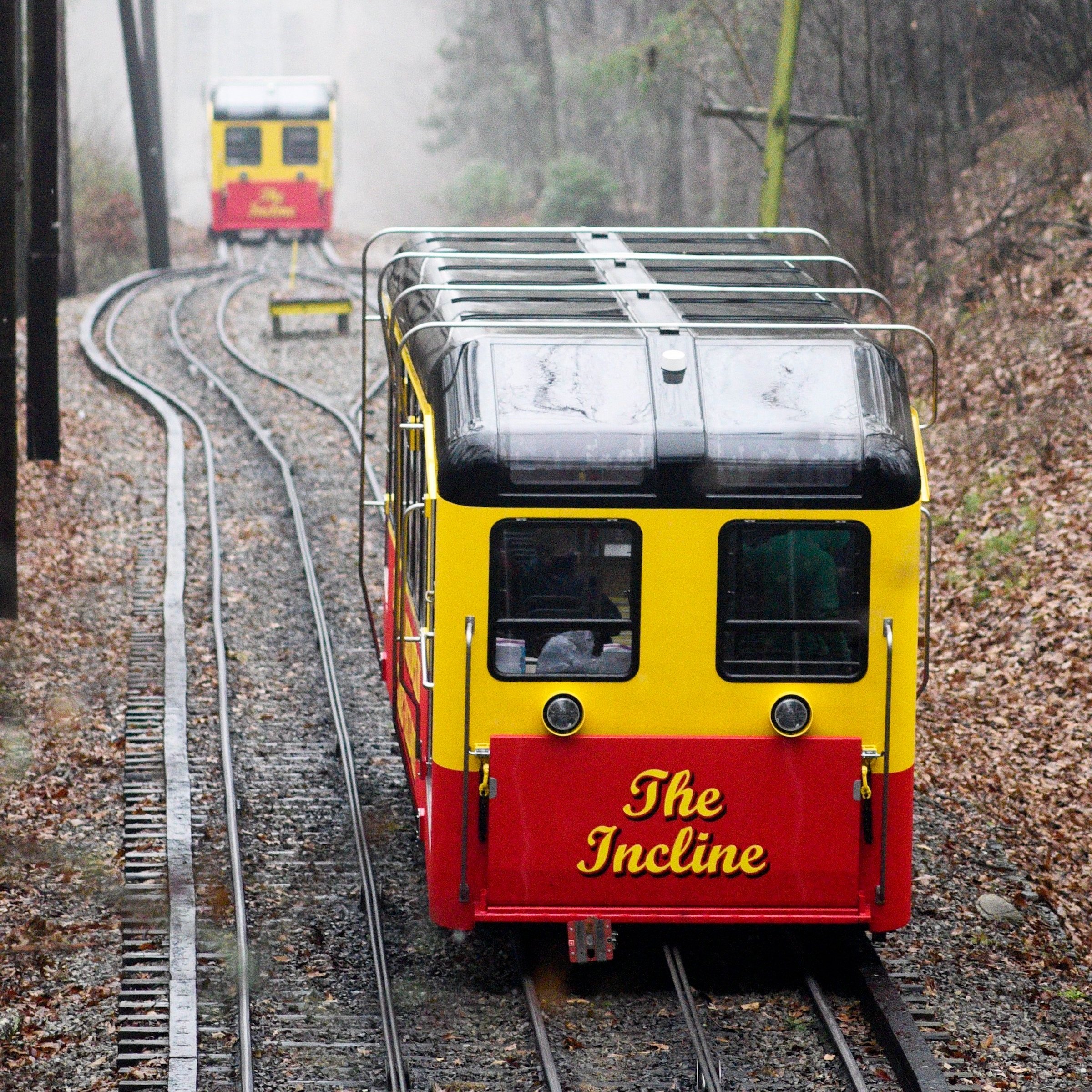 103541077_011022b00-misty-mtn-473.jpg