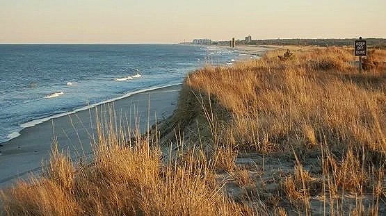 Rehoboth-Beach-Delaware.jpg