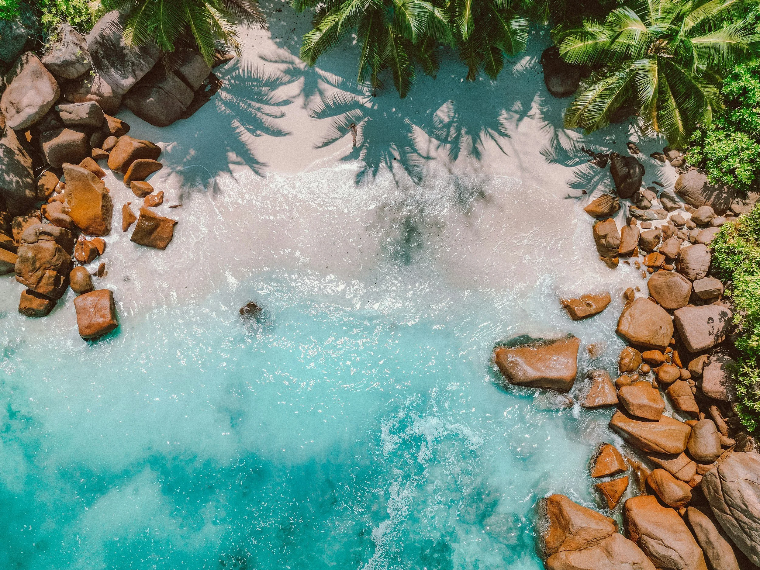 unsplash-image-gJjDL4ME5LQ.jpg