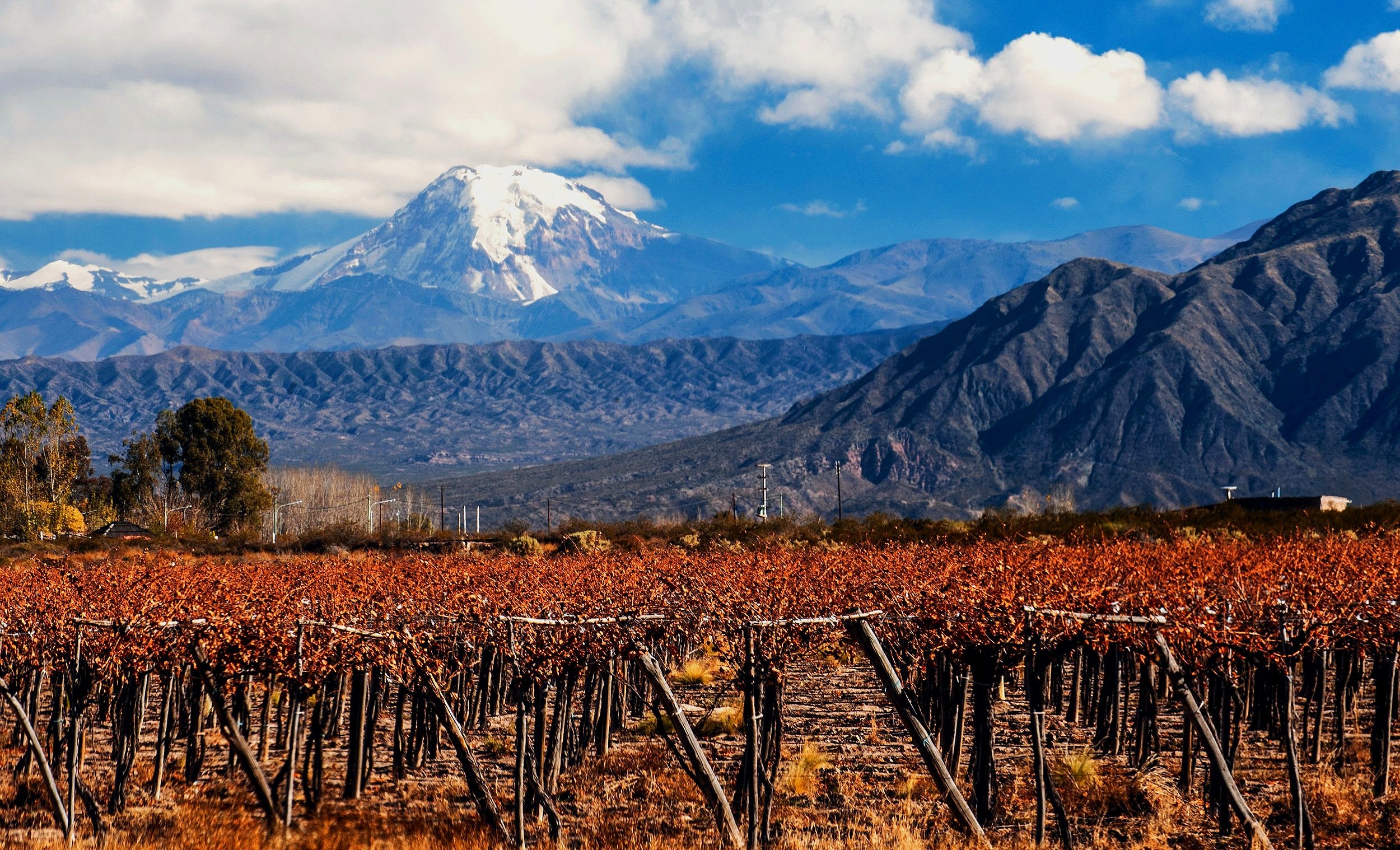 Depositphotos_39729551_xl-2015.jpg