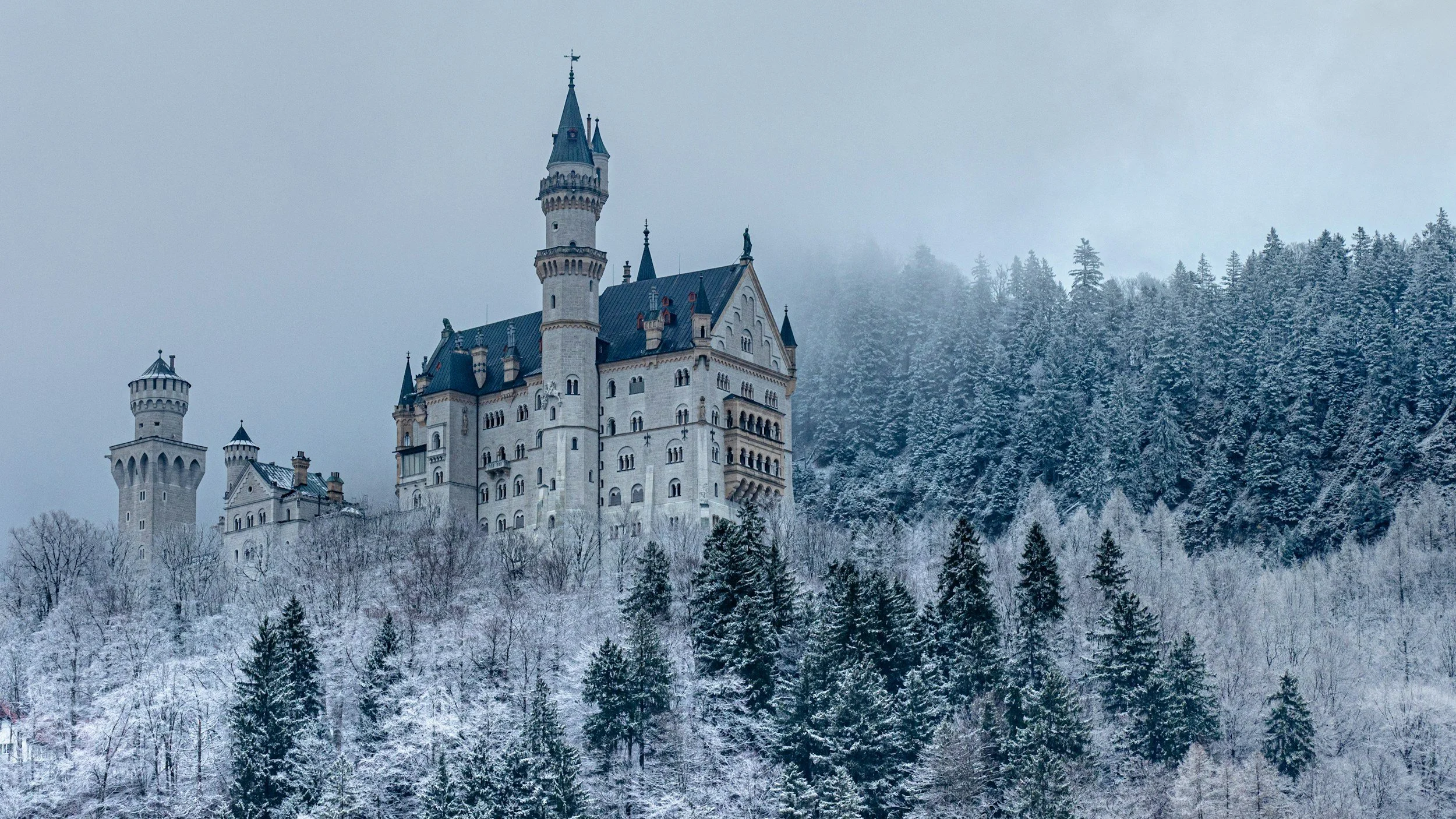 Neuschwanstein Castle situated on a snow-covered hillside surrounded by a forest of snow-dusted pine trees, with a cloudy sky above.