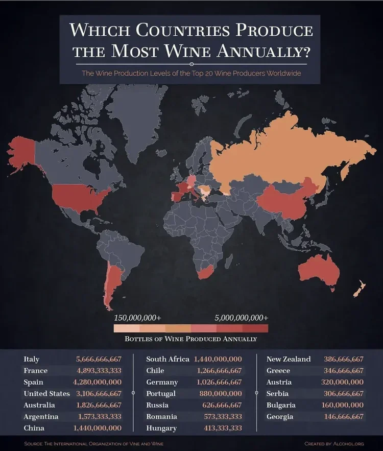 Alcohol-Around-the-World_Which-Countries-Produce-the-Most-Wine-1.webp