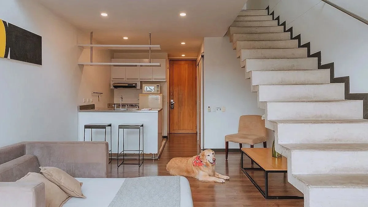 51ede9e9.jpg