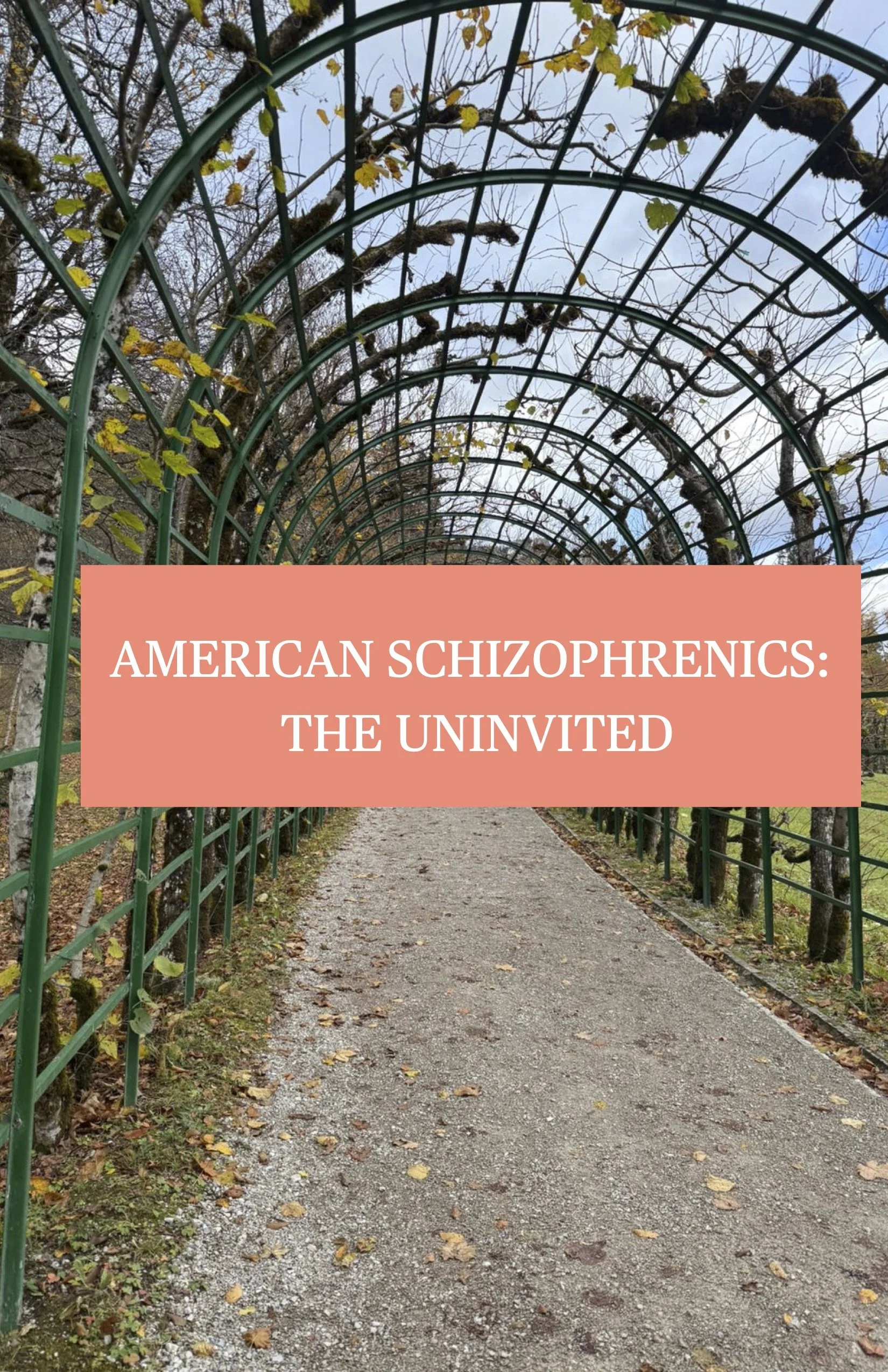 American sizho.jpg