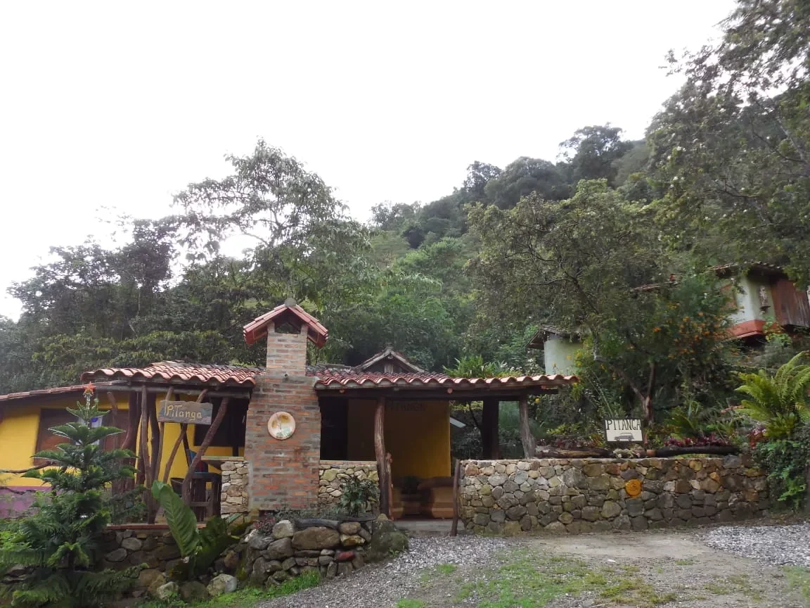 A rustic house with a stone and wood exterior, red tiled roof, surrounded by lush green trees and plants, with a small driveway in front.