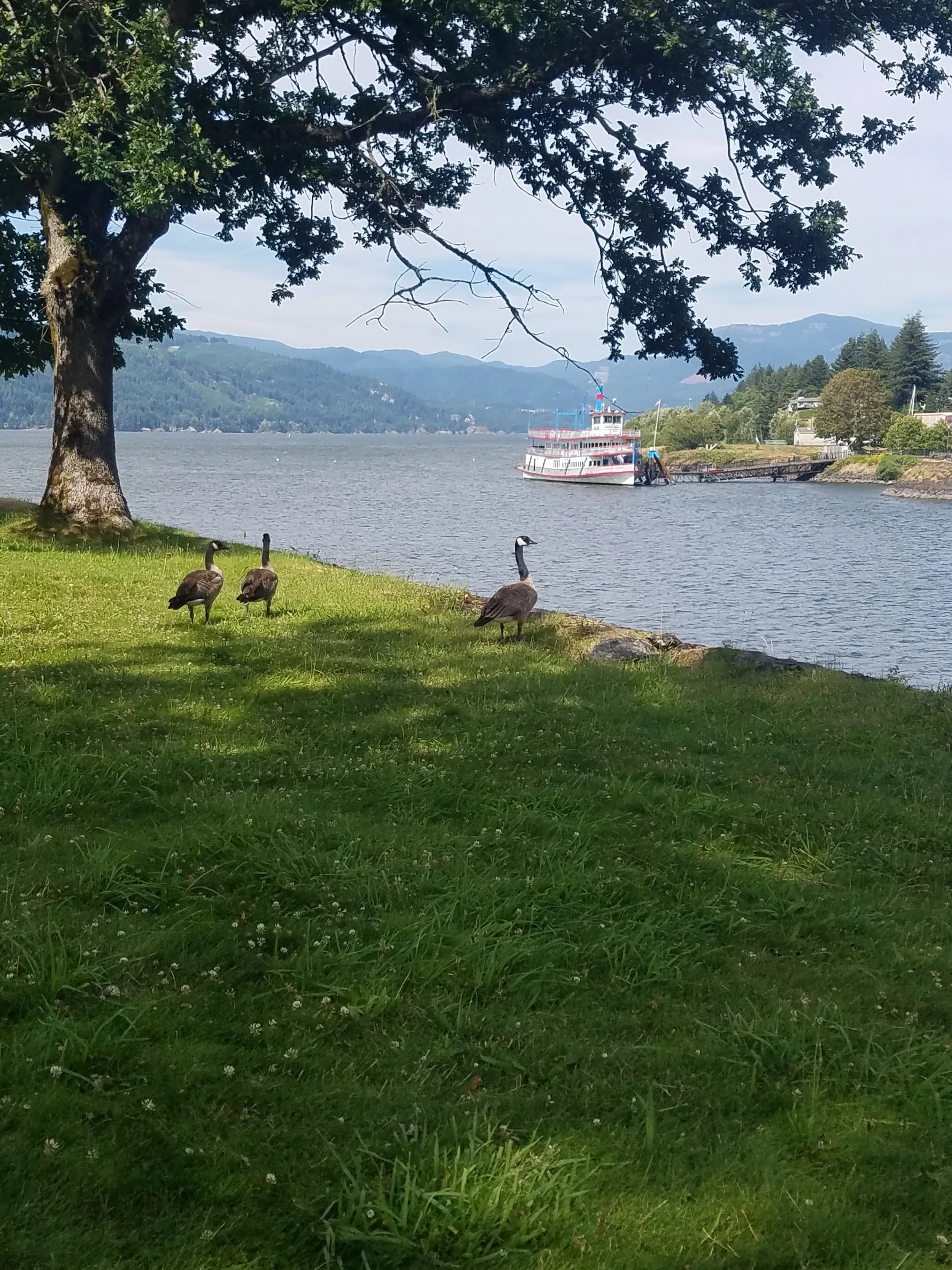 20180713_162441.jpg