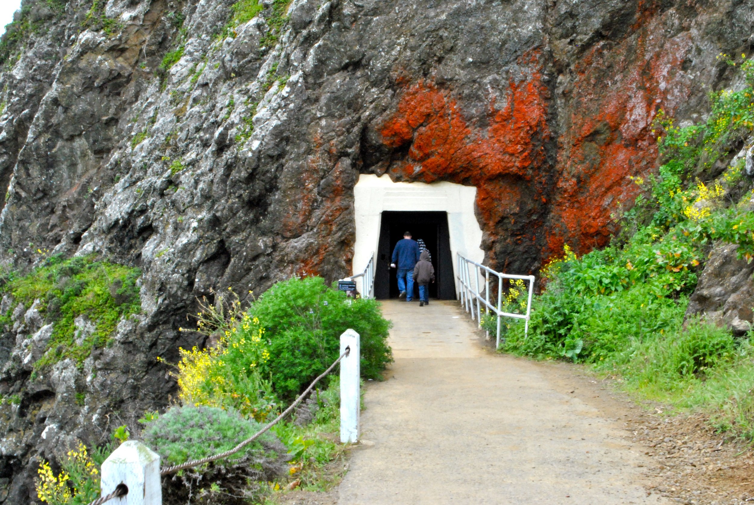 DSC_0068.jpg