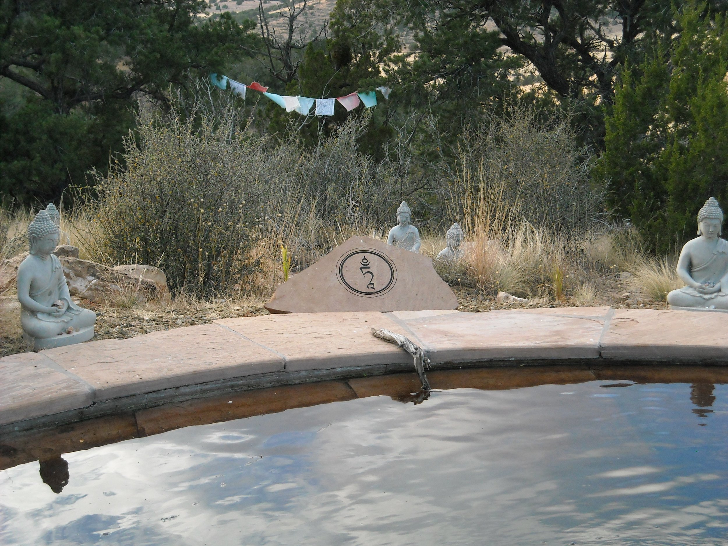 DSCN2775.JPG