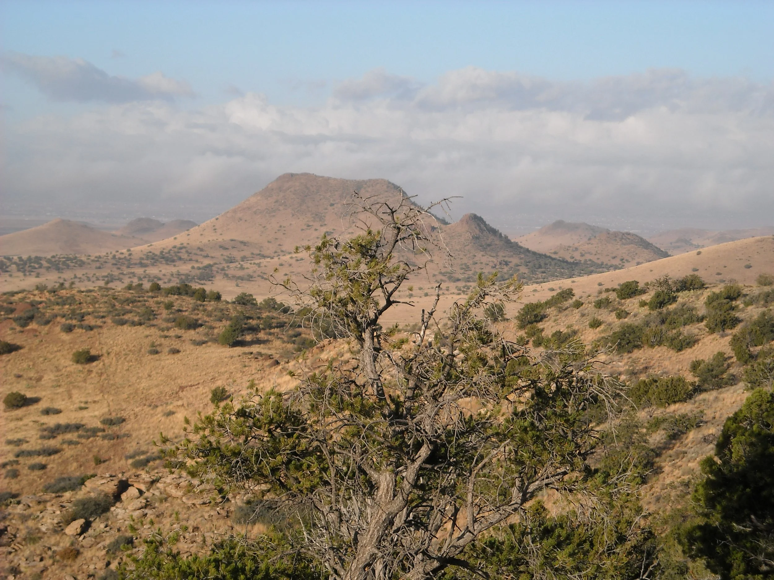 DSCN2741.JPG