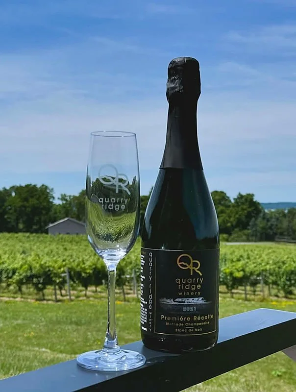A bottle of sparkling wine or champagne and an empty champagne flute on a ledge with a vineyard and blue sky in the background.