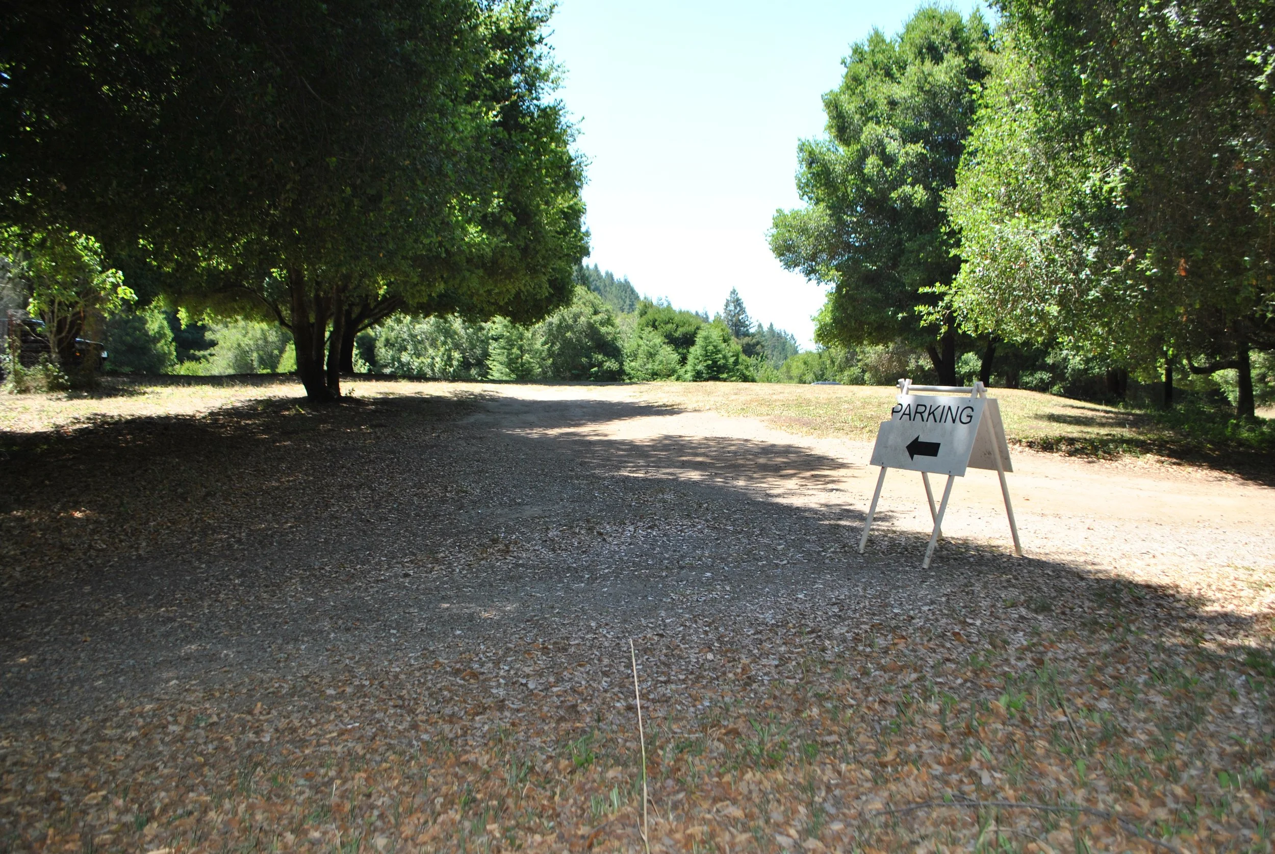DSC_1675.jpg