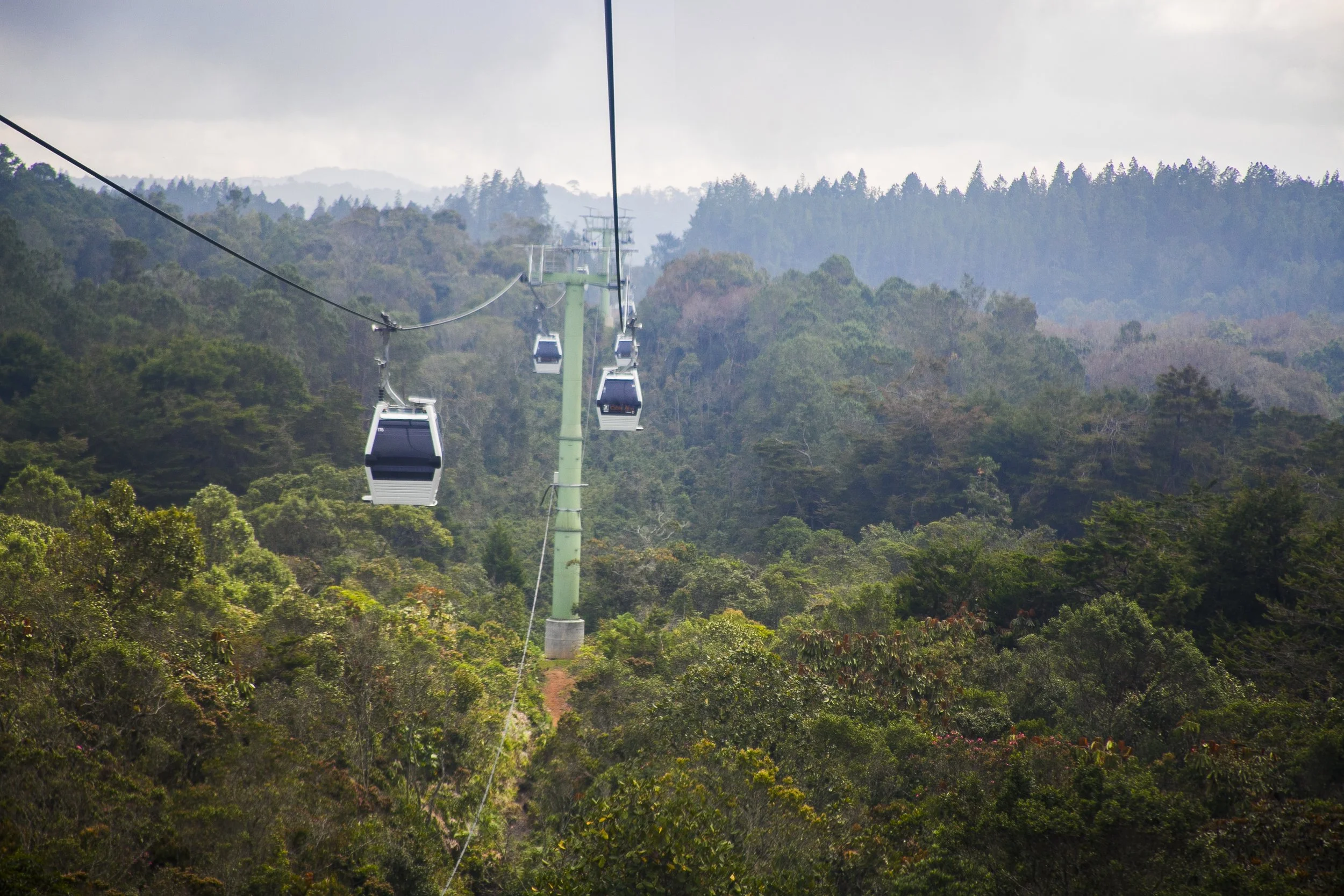 A scenic view of a forested area with a cable car system running over the trees. The cable cars are black and white and appear to be suspended on a cable supported by bright green towers.