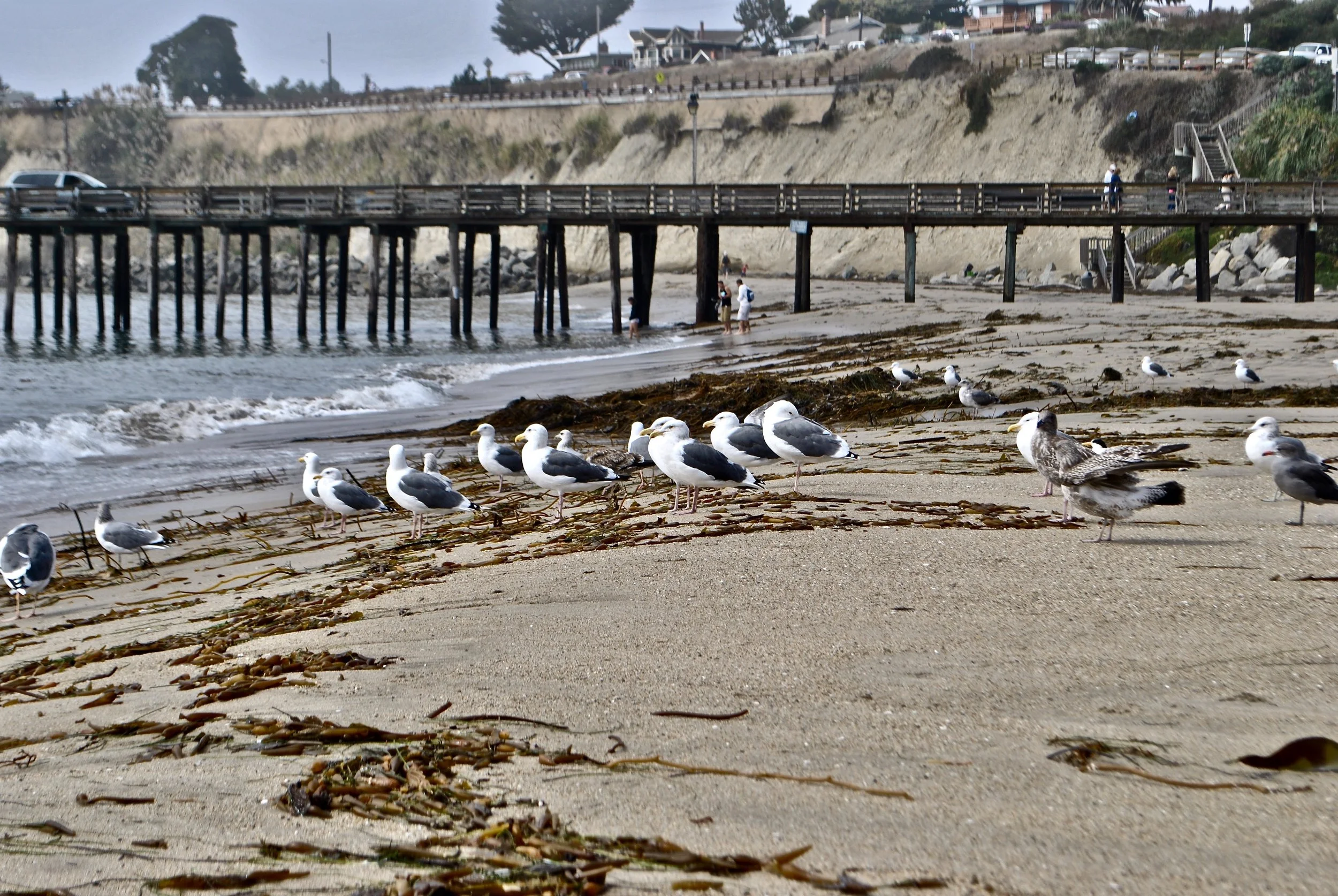 DSC_3679 2.JPG