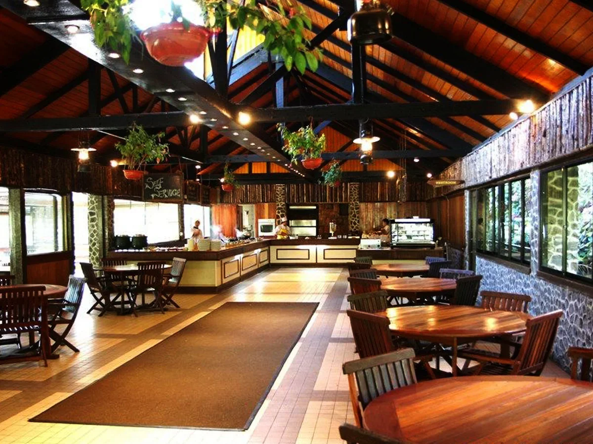 Inside view of a restaurant with wooden tables and chairs, a serving counter, hanging plants, a patterned tile wall, green plants outside the windows, and a high wooden ceiling with lighting fixtures.