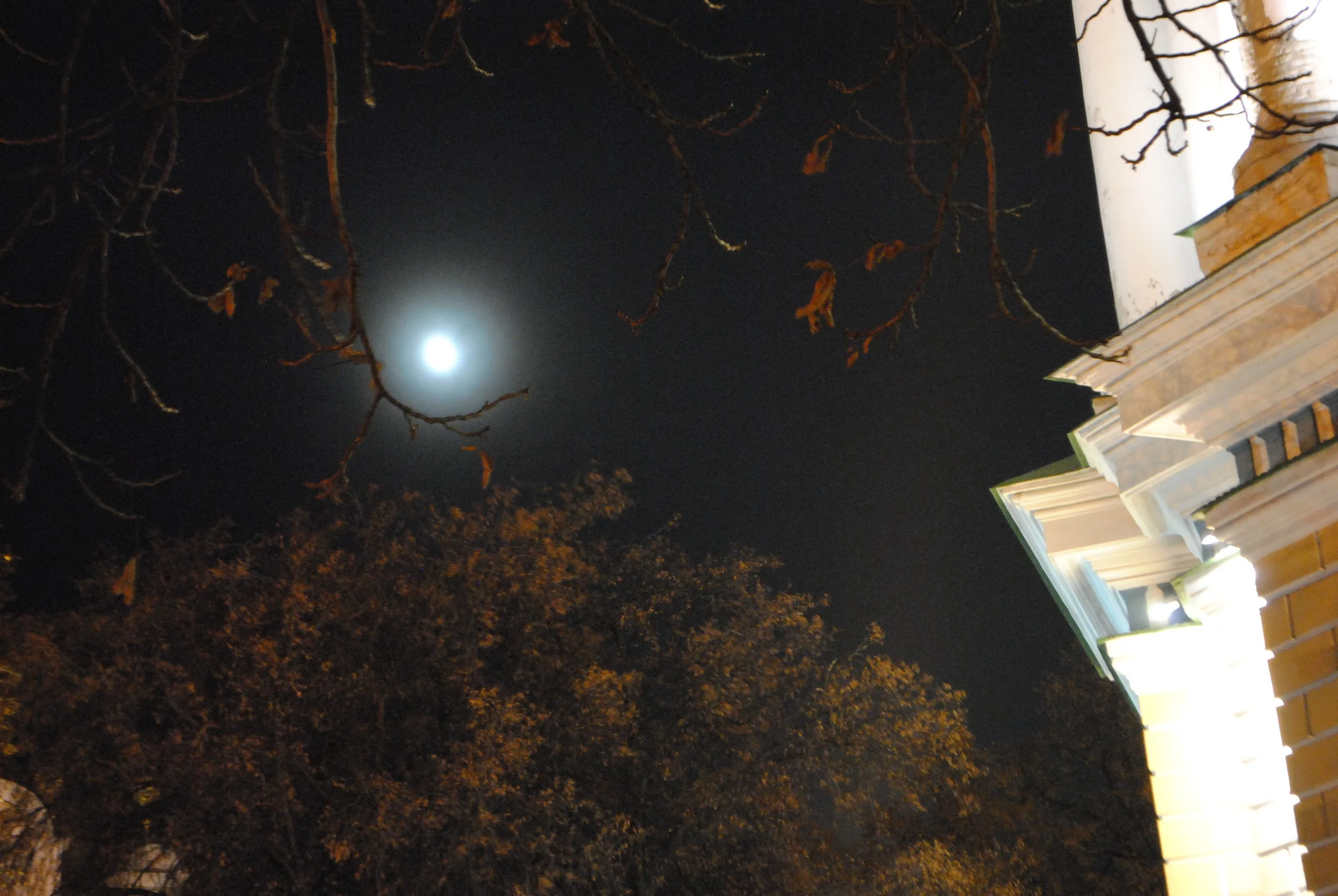 Nighttime scene featuring the moon partly obscured by branches of a leafless tree, with a house's roof and siding illuminated by exterior lights.