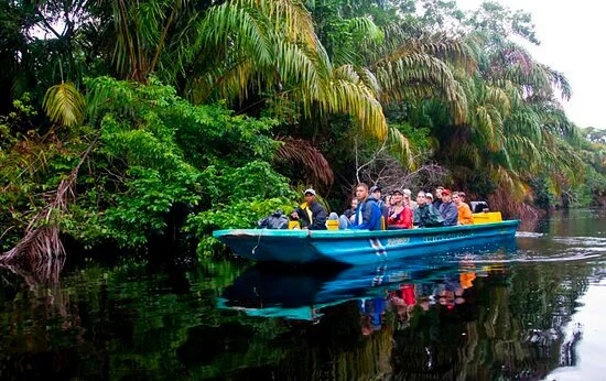 A group of people riding in a blue boat along a waterway surrounded by lush tropical greenery and palm trees.