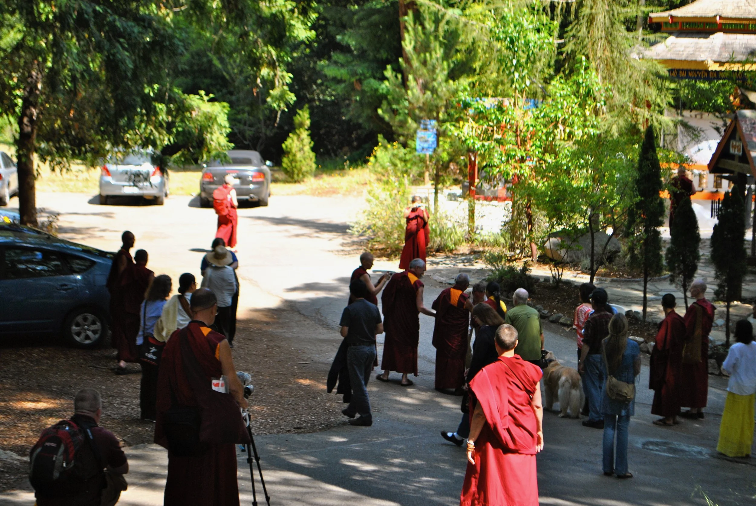 DSC_1716.jpg