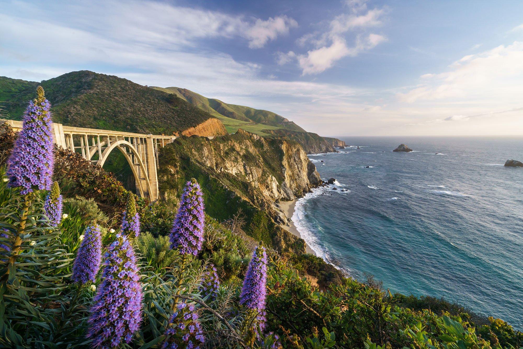 Coastal cliffs with purple flowers in foreground, a bridge crossing a valley, green hills, and rocky shoreline along the ocean under a partly cloudy sky.