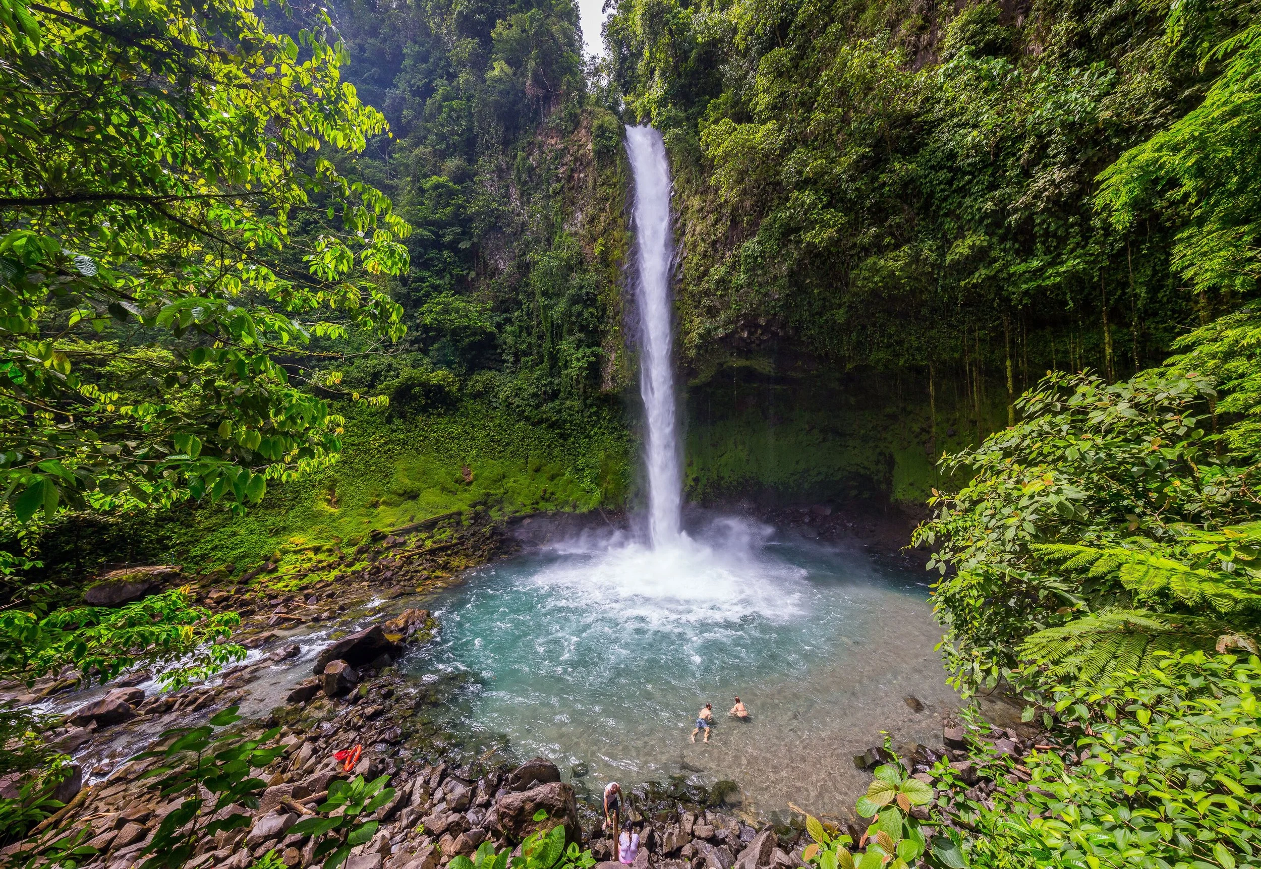 A waterfall cascading down a lush, green cliff into a pool below, with trees and foliage surrounding the area. People are swimming in the pool underneath the waterfall.