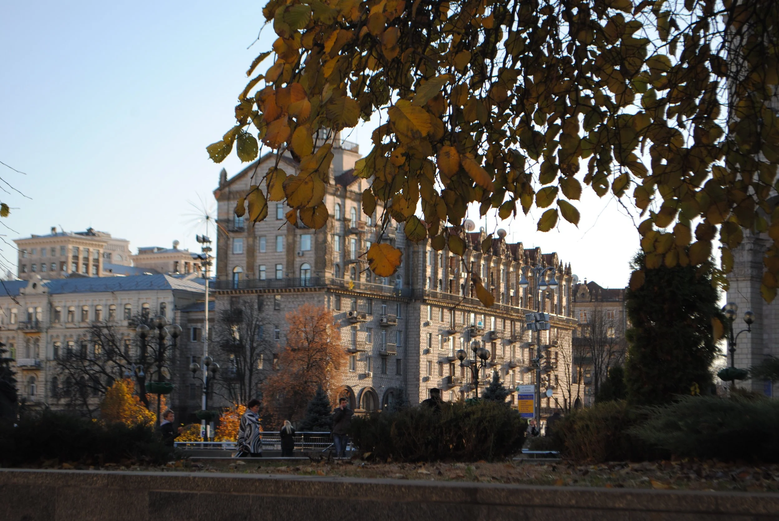Cityscape with old-style multi-story buildings, partially obscured by overhanging tree branches with yellow autumn leaves. Several people walk in a park area in the foreground, with a clear sky above.