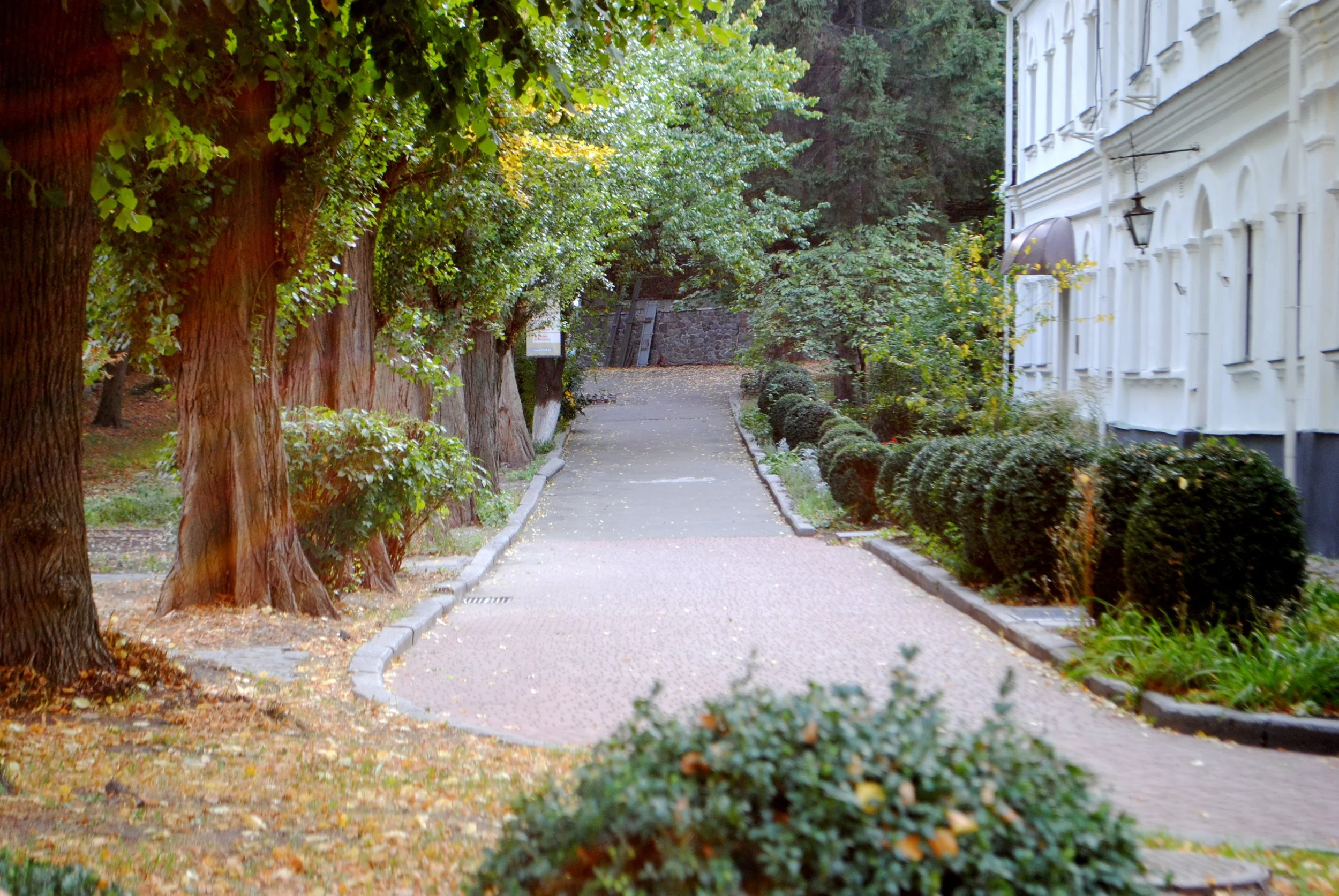 A peaceful sidewalk lined with tall trees on the left and a white building on the right, with green bushes and fallen leaves on the ground. Kiev November 2011, Marina Parrish © 