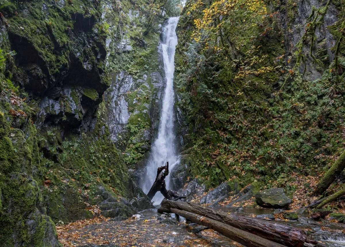 A waterfall flowing down a moss-covered rocky cliff into a small stream surrounded by greenery and fallen leaves.