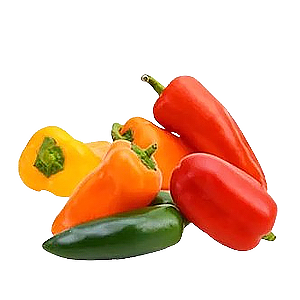 A variety of colorful bell peppers, including yellow, orange, red, and green, arranged together.