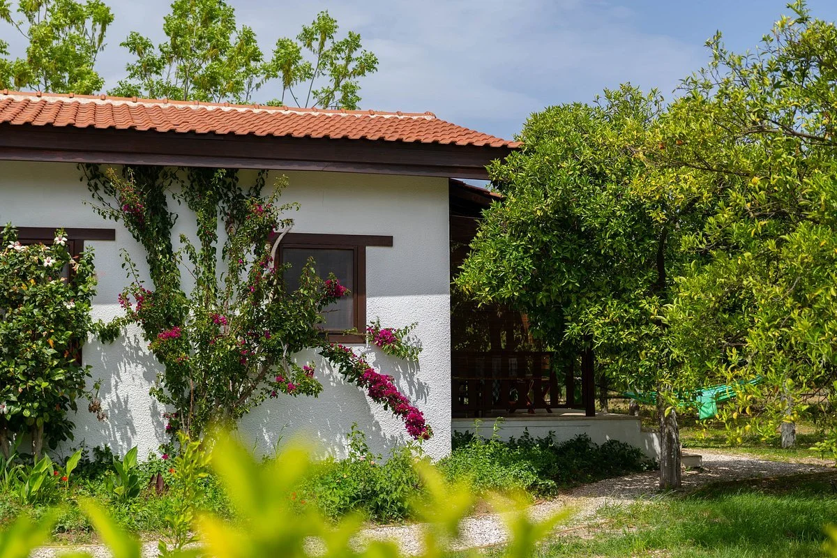 A white house with a red-tile roof, surrounded by lush green trees and flowering bushes, with a gravel path in the garden.