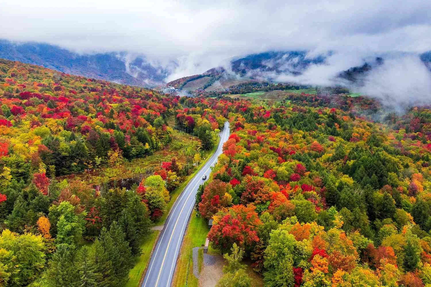 A winding road cutting through a dense forest in autumn, with colorful trees in red, yellow, and green, and mountains with clouds in the background.